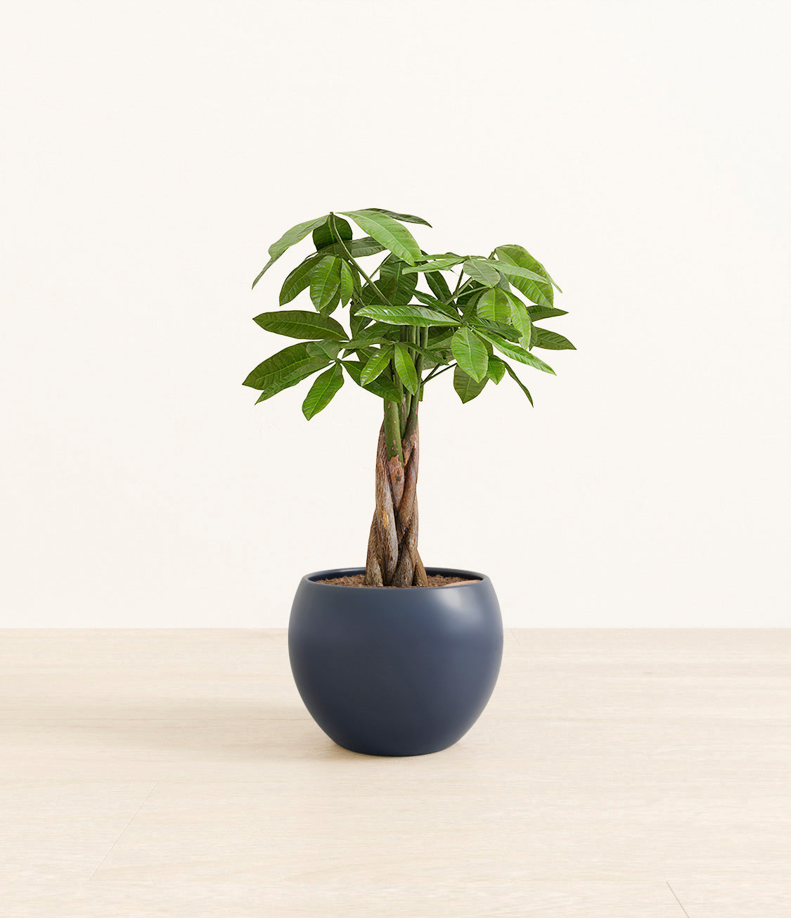 money_tree_Monet_blue.jpg