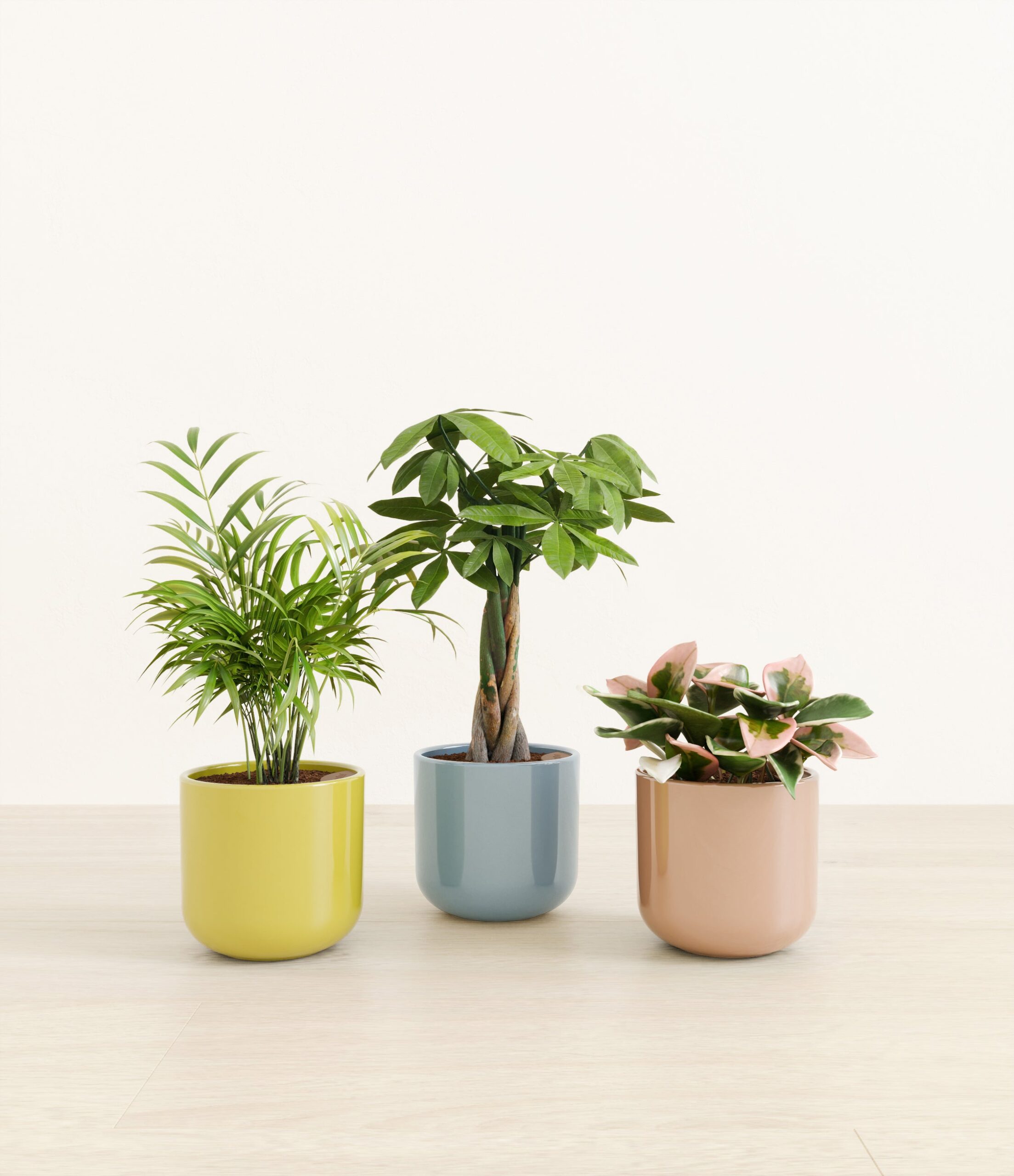 natures_trifecta_studio_new_palette_1.jpg