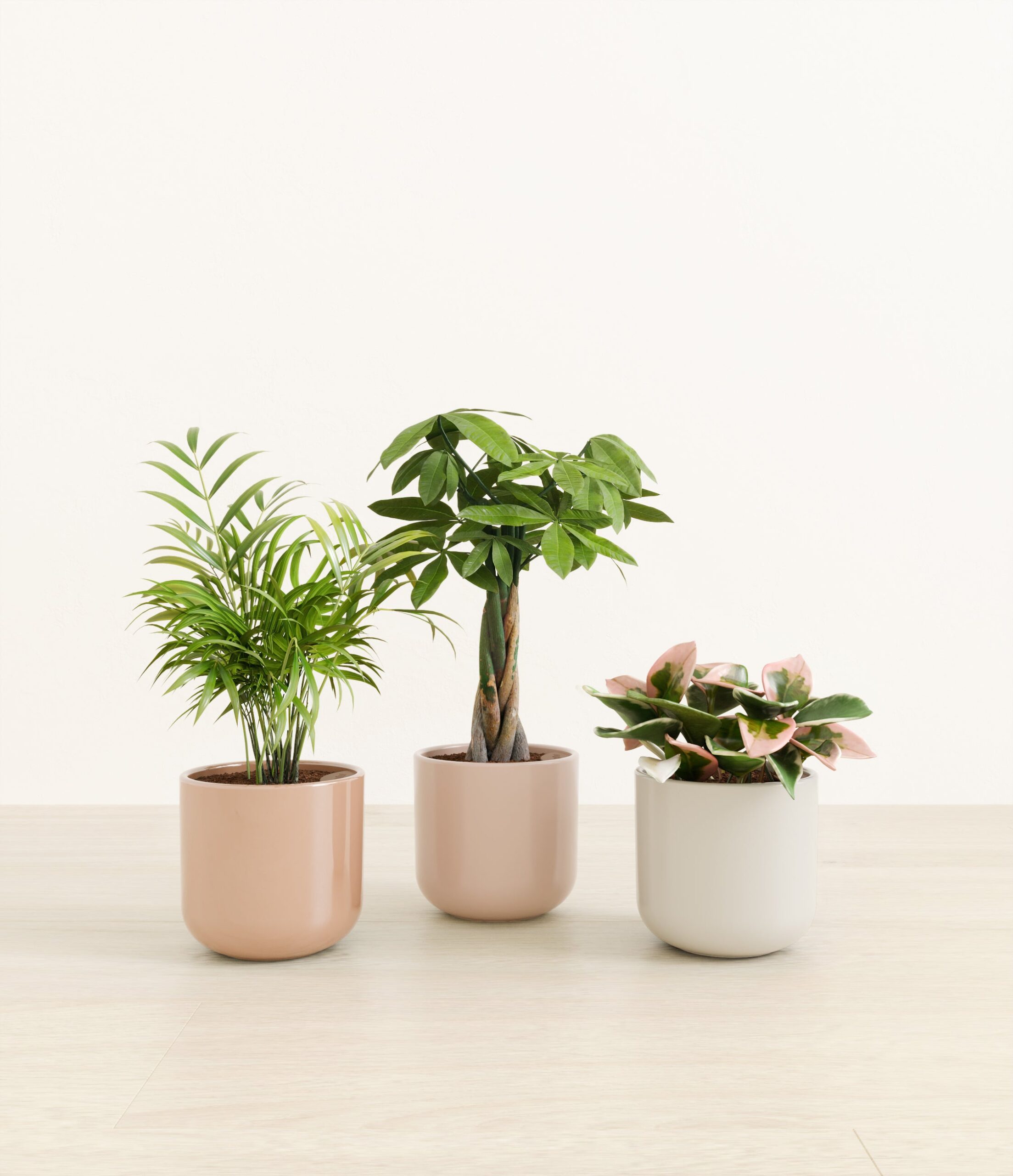 natures_trifecta_studio_peach_blossom_palette.jpg