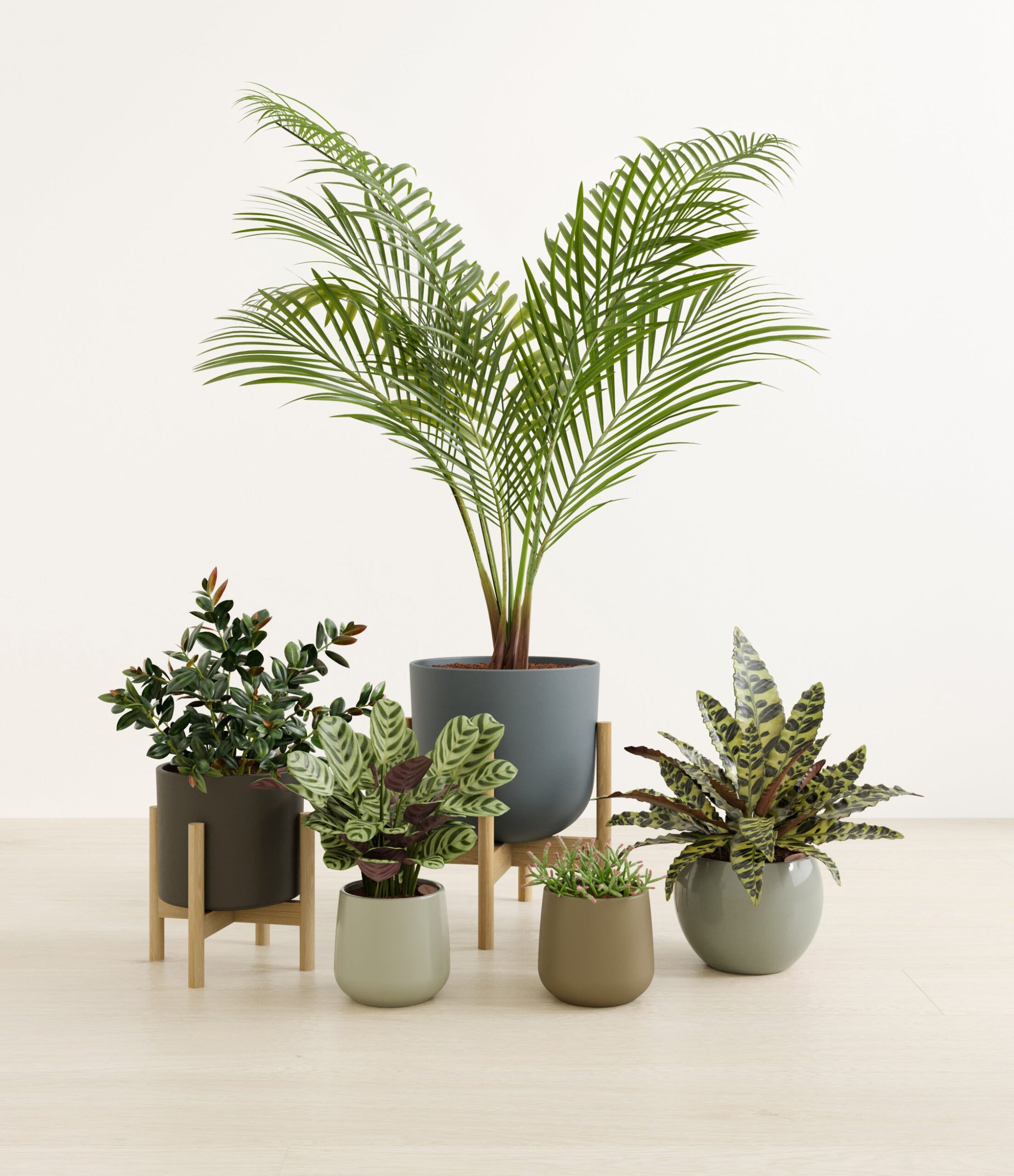 paws_and_petals_studio_earthy_stands.jpg