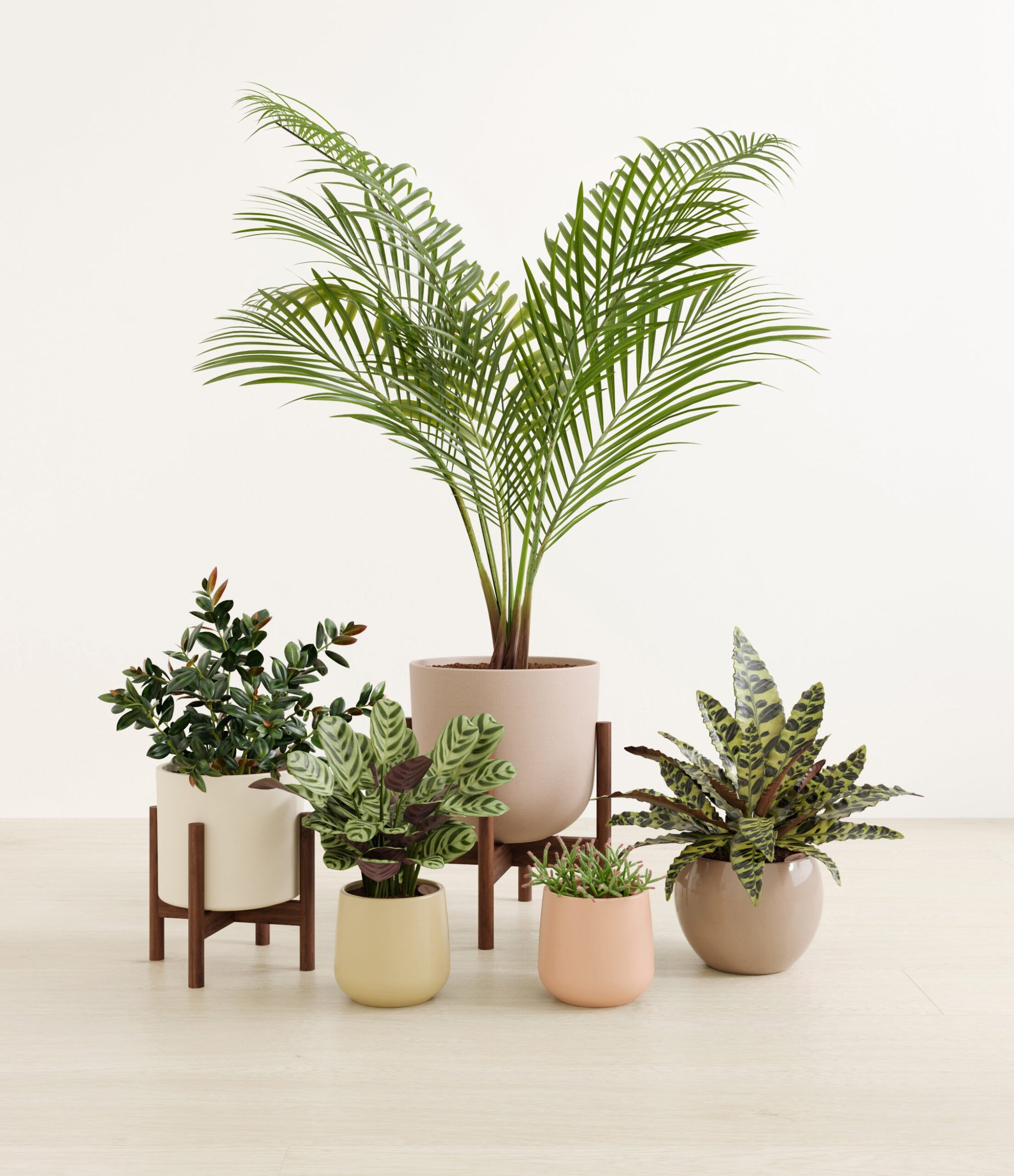 paws_and_petals_studio_sandy_stands.jpg