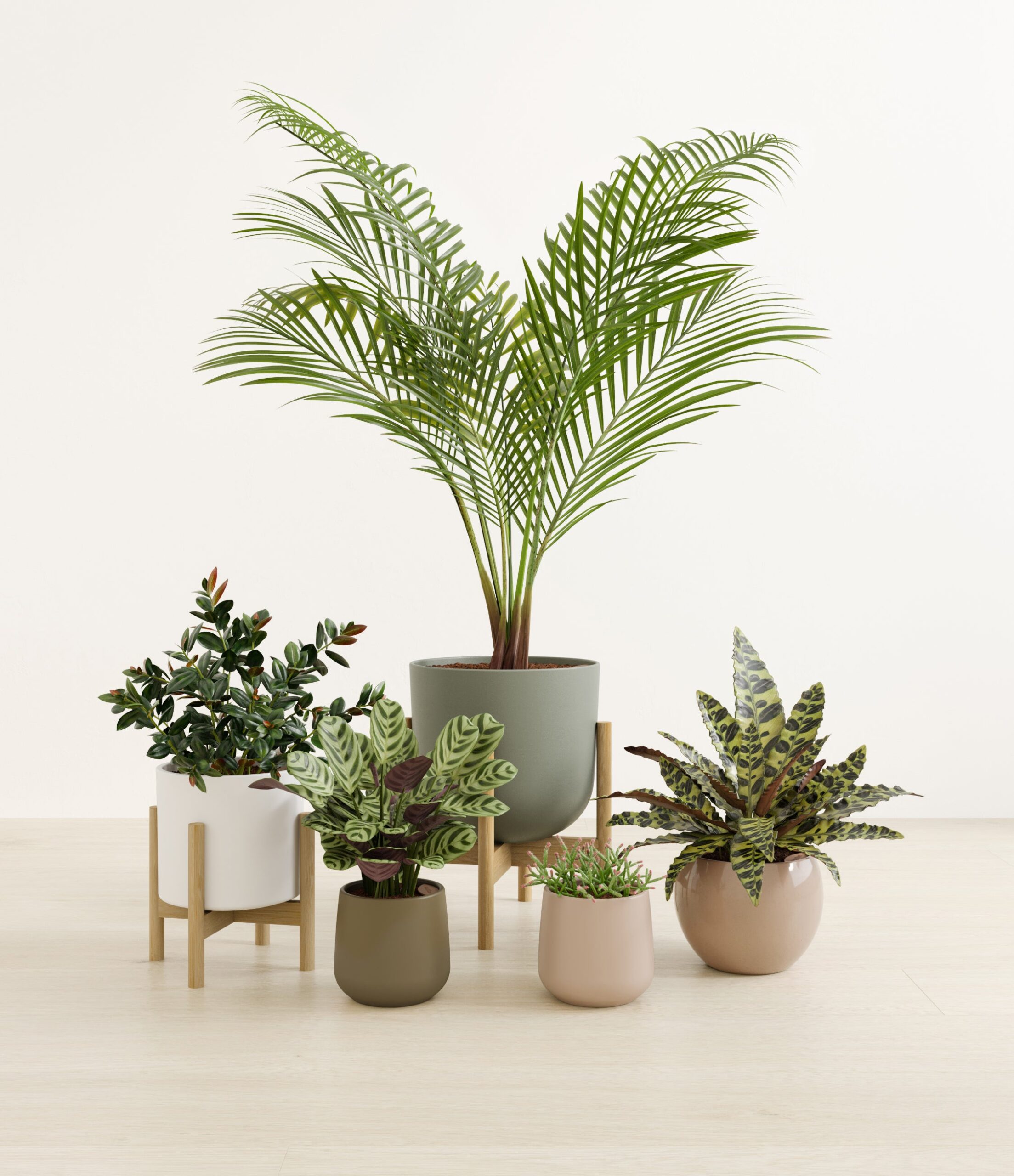paws_and_petals_studio_woodland_stands.jpg