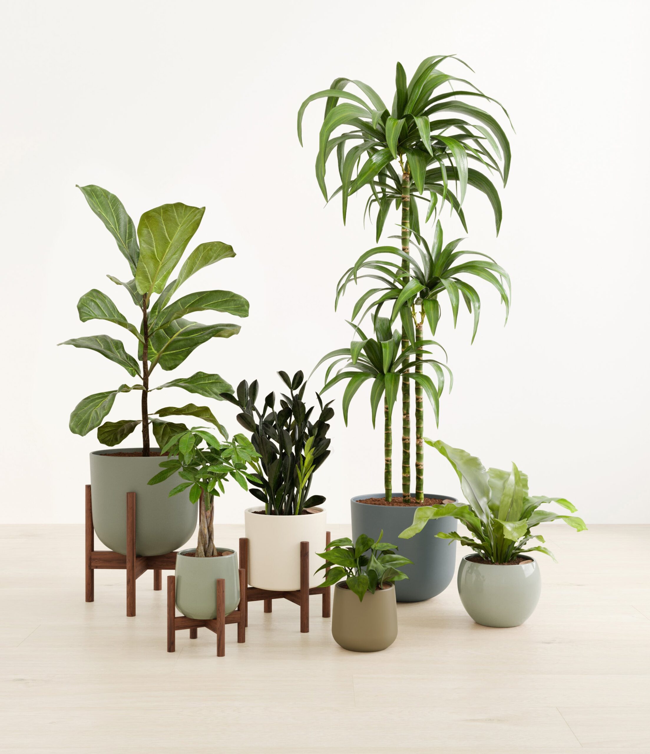 signature_six_studio_earthy_stands.jpg