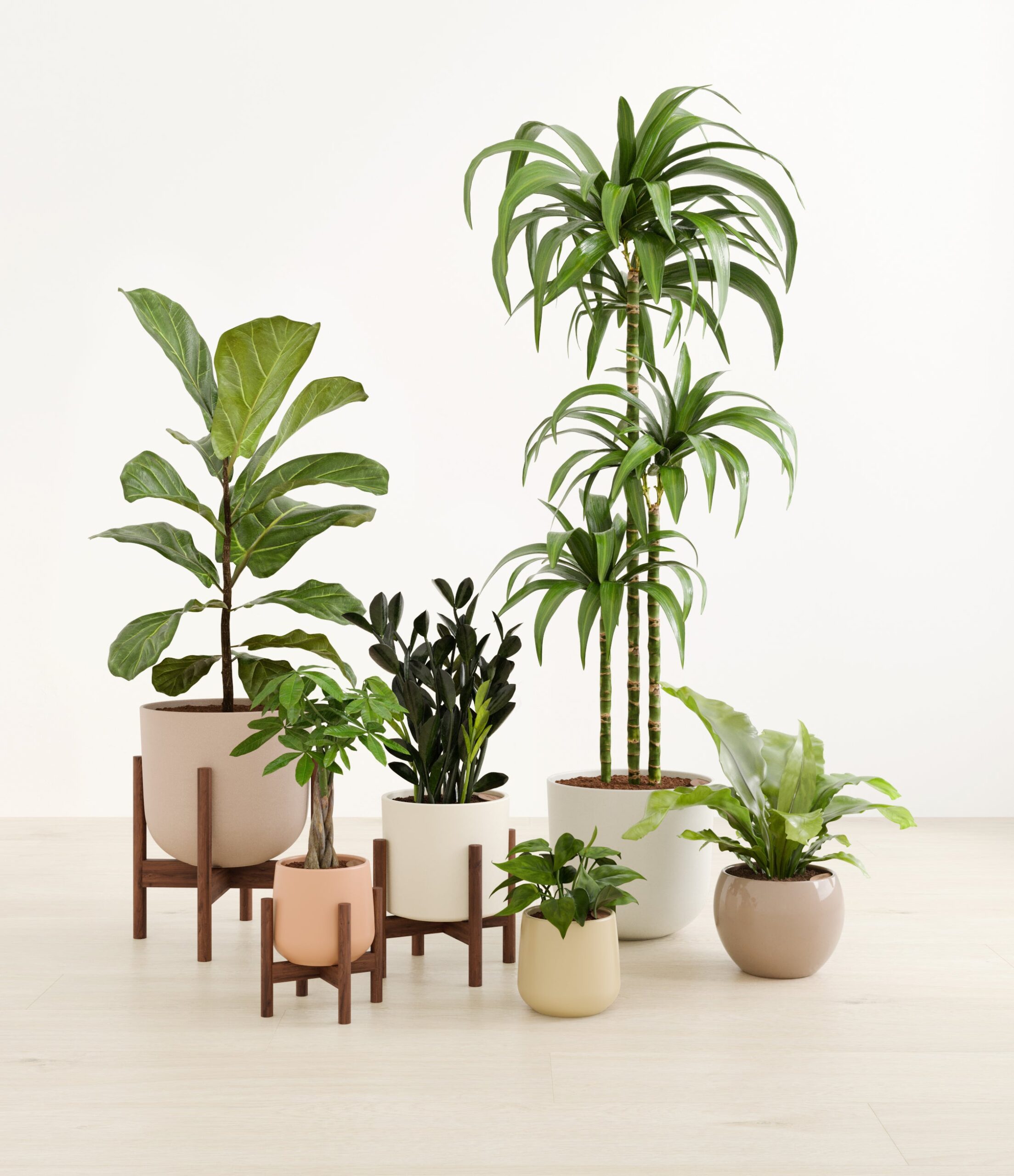 signature_six_studio_sandy_stands.jpg