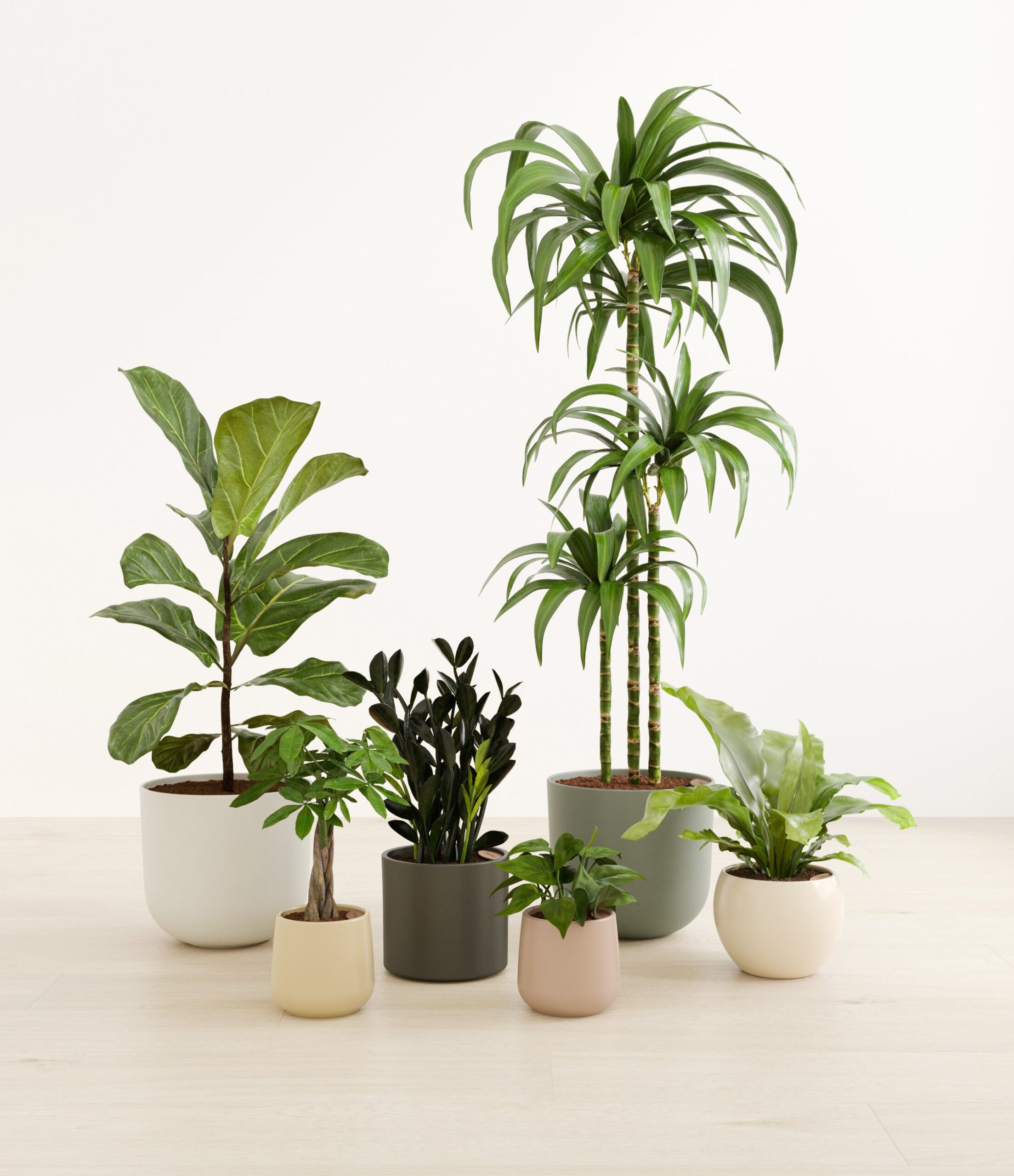 signature_six_studio_woodland.jpg