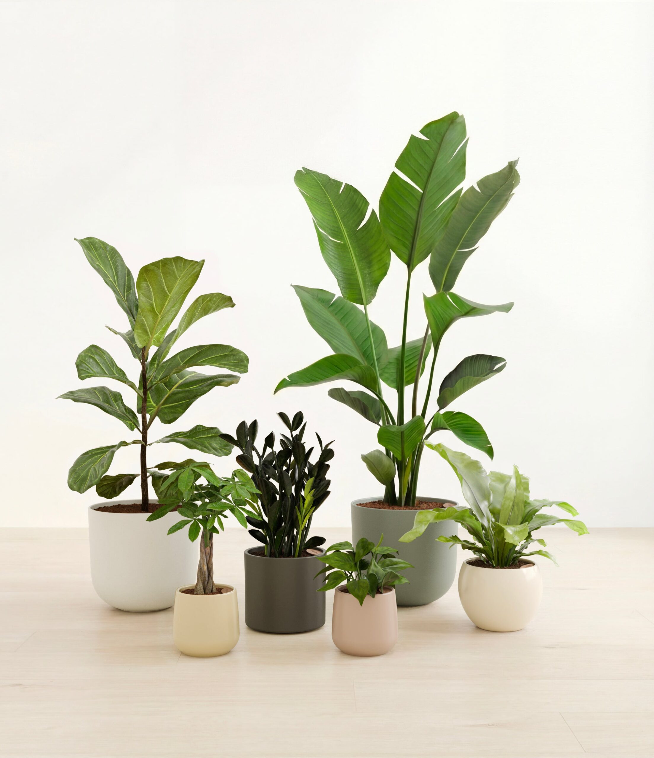 signature_six_studio_woodland_bcd683b7-bb1d-4412-8dfb-93af429bb82b.jpg