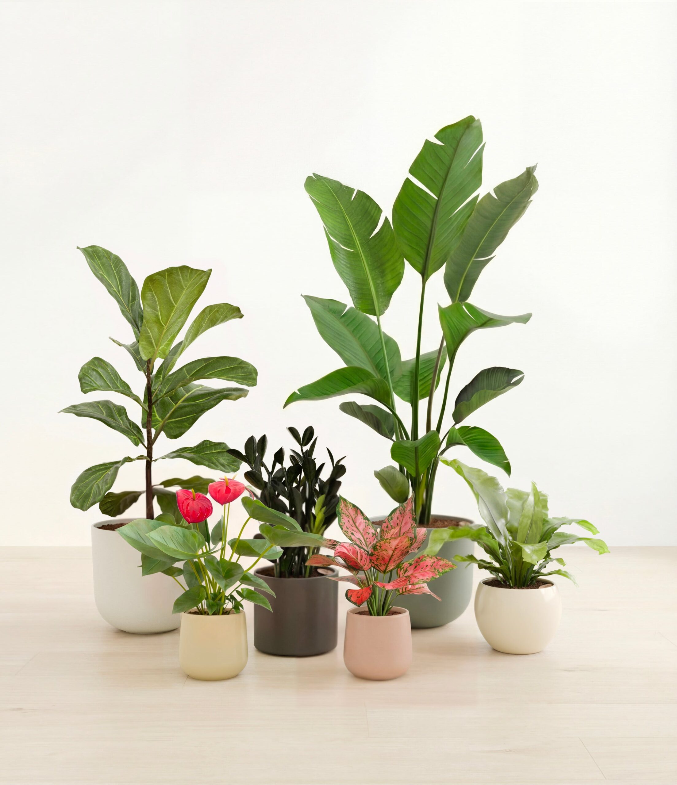 signature_six_studio_woodland_bcd683b7-bb1d-4412-8dfb-93af429bb82b_copy_2.jpg