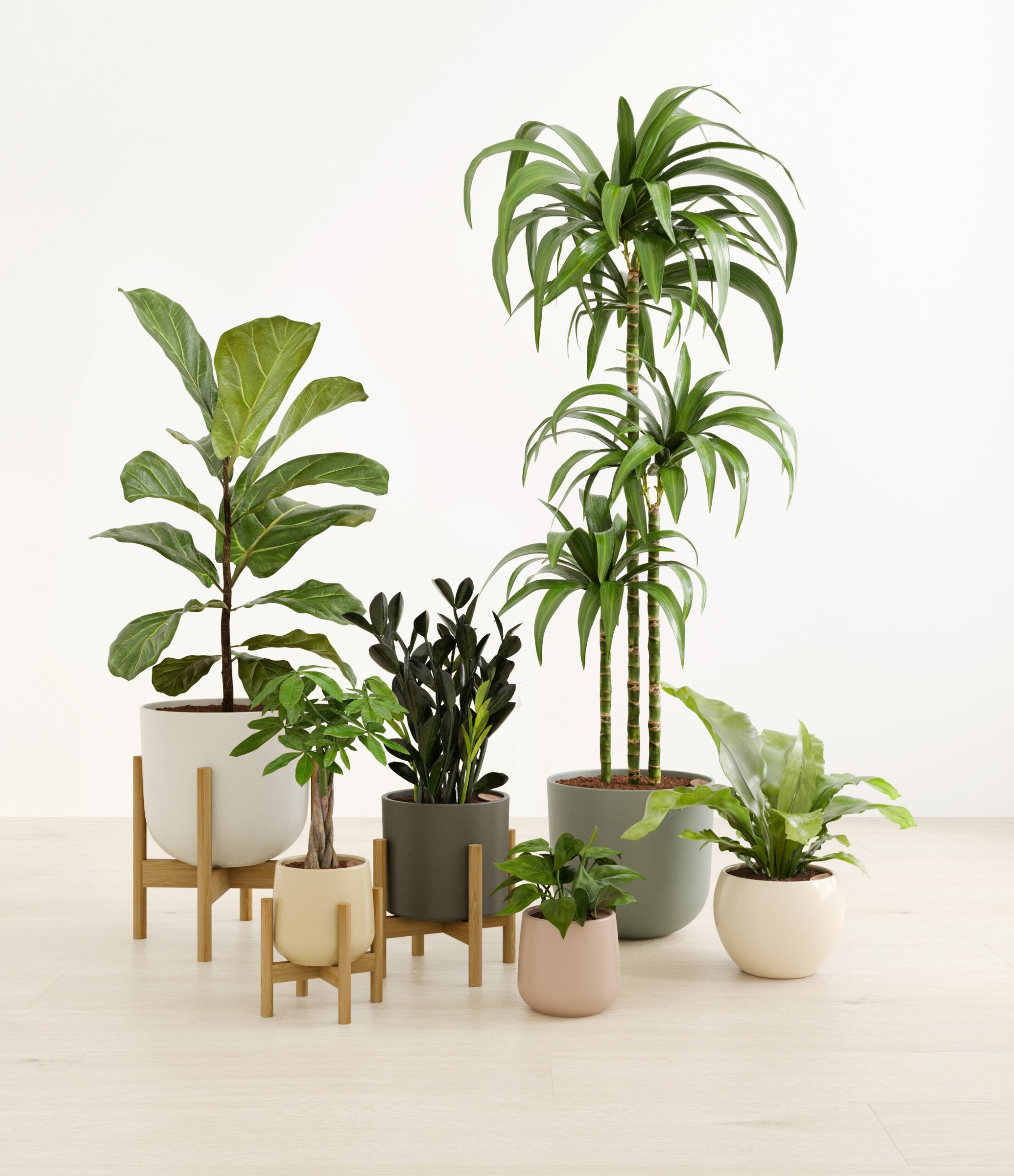 signature_six_studio_woodland_stands.jpg