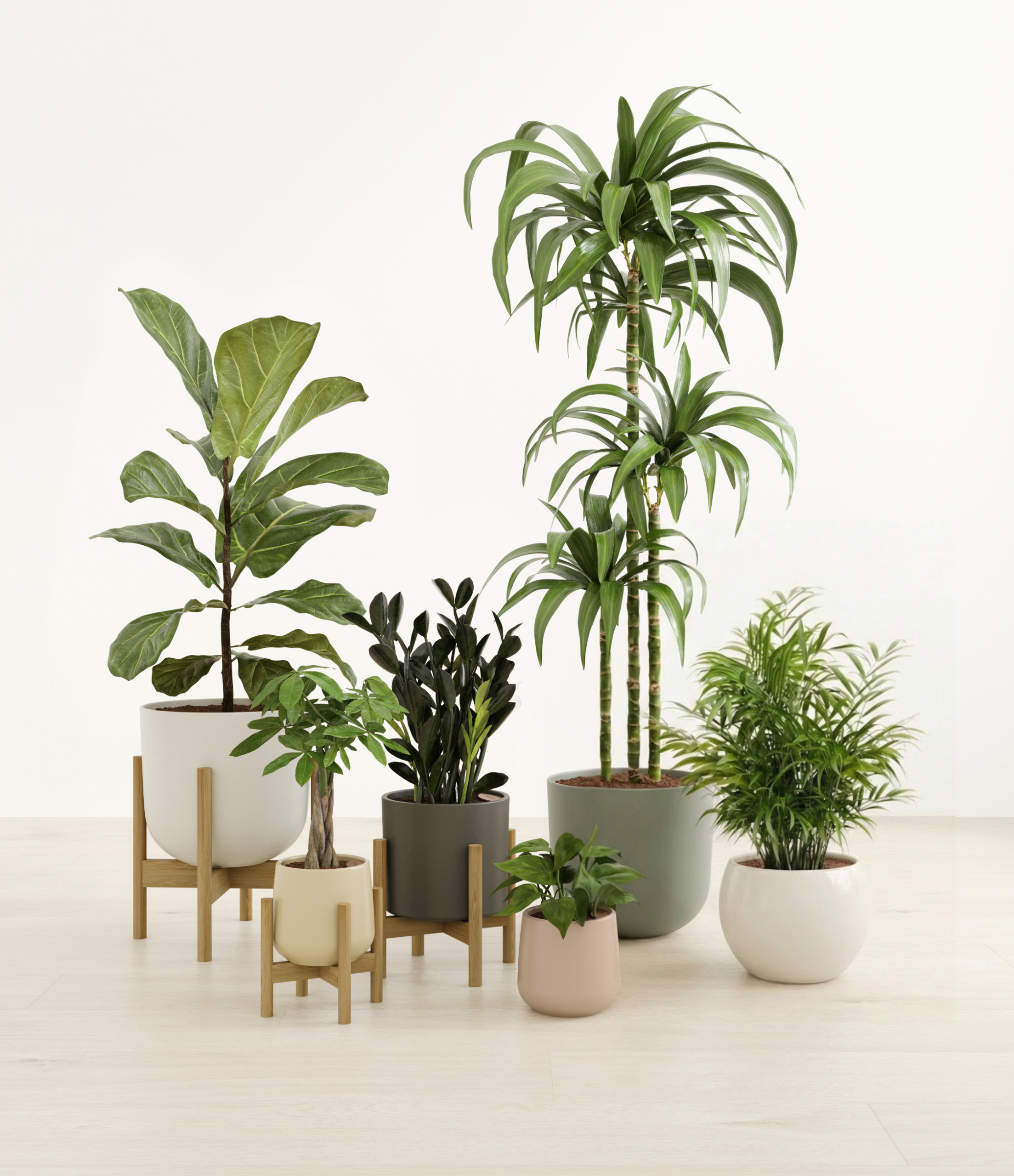 signature_six_studio_woodland_stands2.png