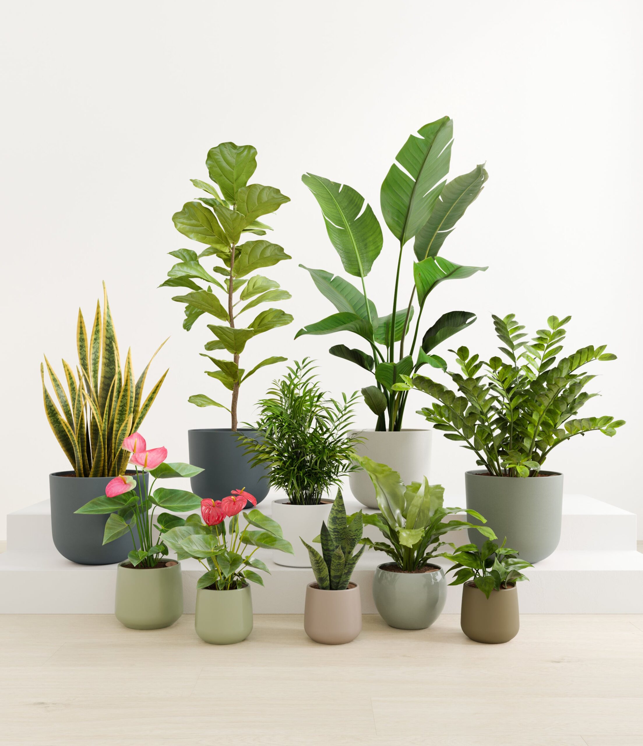 statement_set_studio_earthy_0d0ba8e2-9f84-4b25-a10c-cffc02211901.jpg