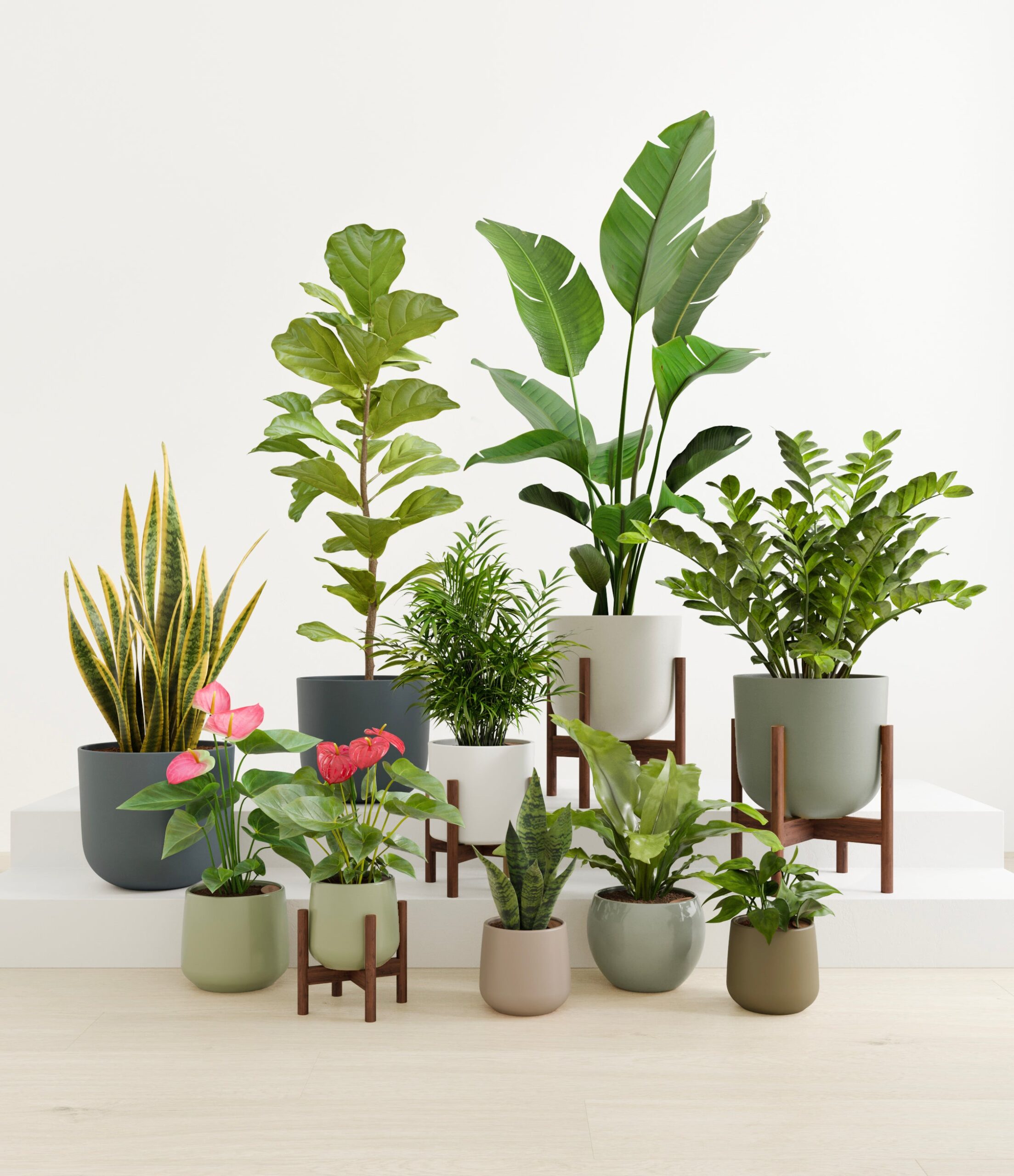 statement_set_studio_earthy_stands_copy.jpg