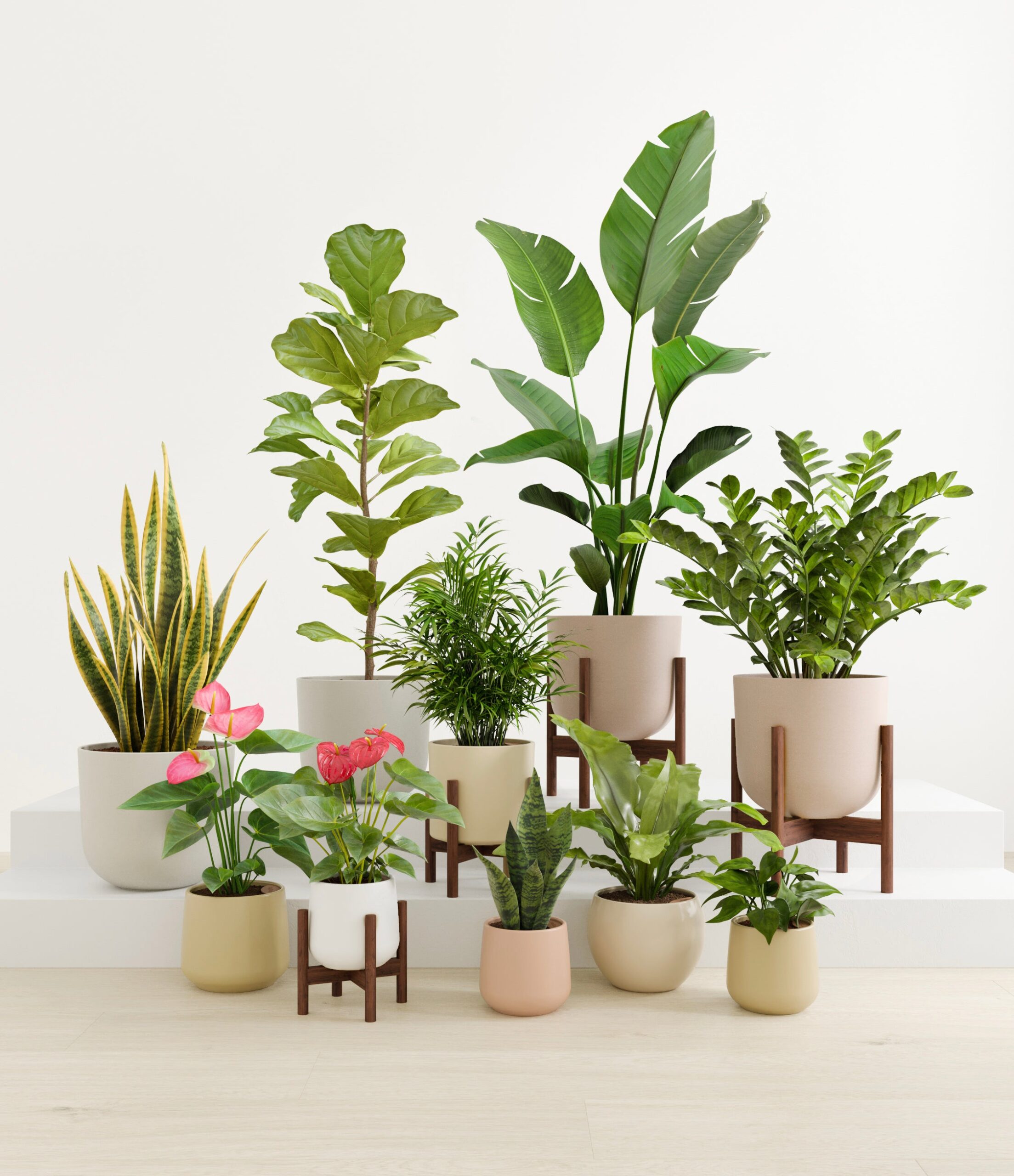 statement_set_studio_sandy_stands_copy.jpg