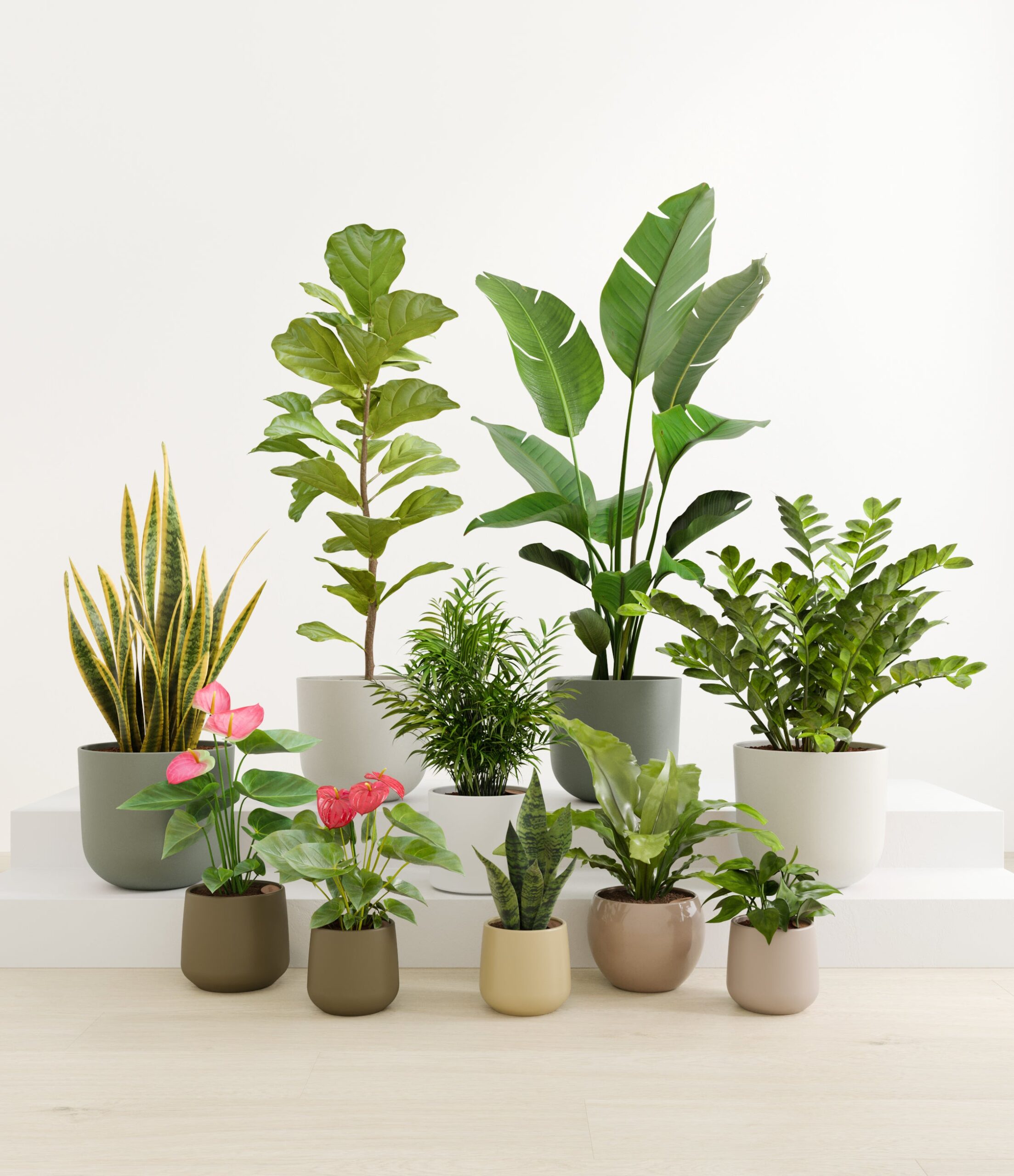 statement_set_studio_woodland_c315c4c8-aad6-4ce5-ba2a-16b9ce0bbceb.jpg