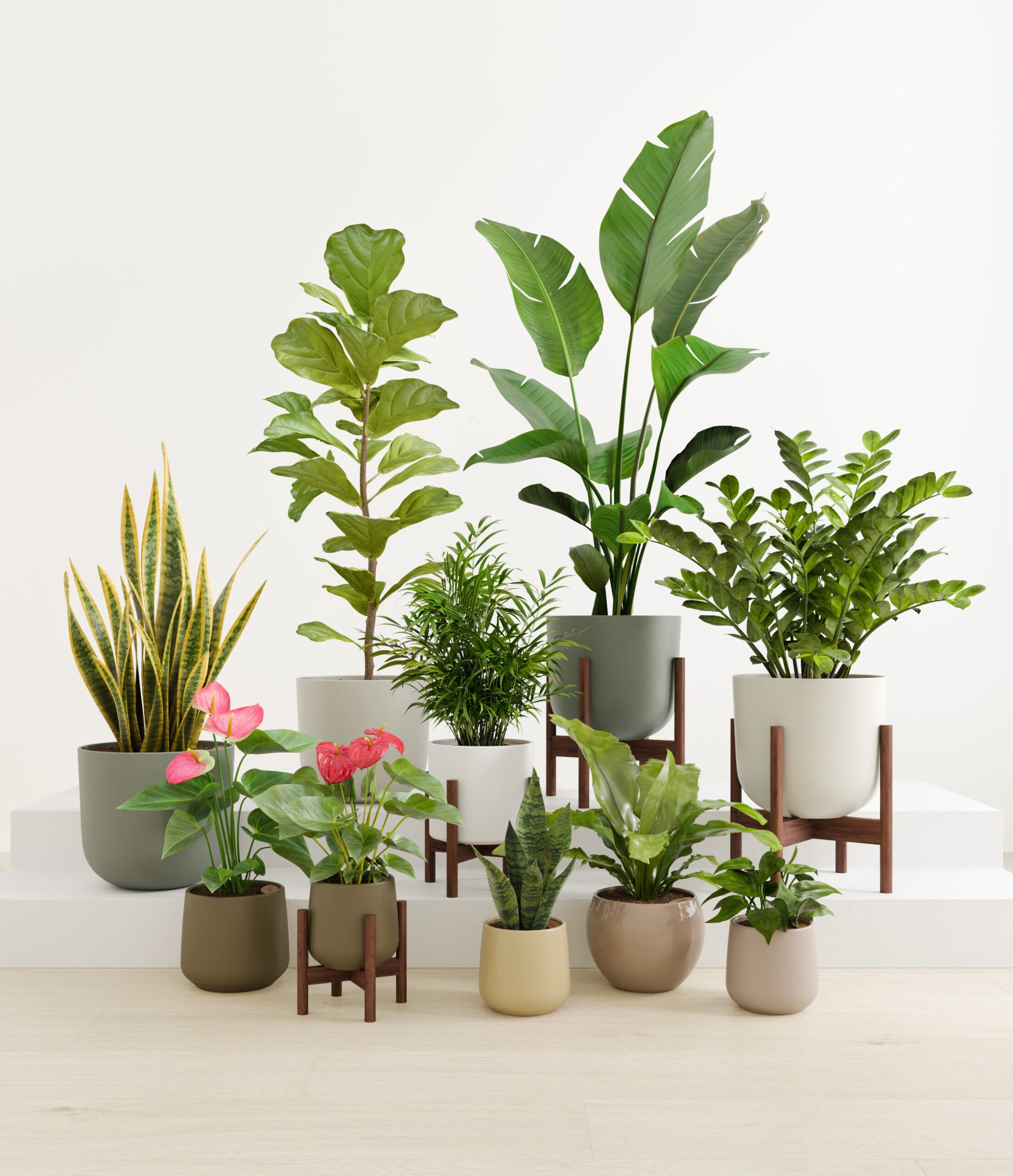 statement_set_studio_woodland_stands_f038a3d7-391b-4f0e-839e-bfef681afe0a.jpg