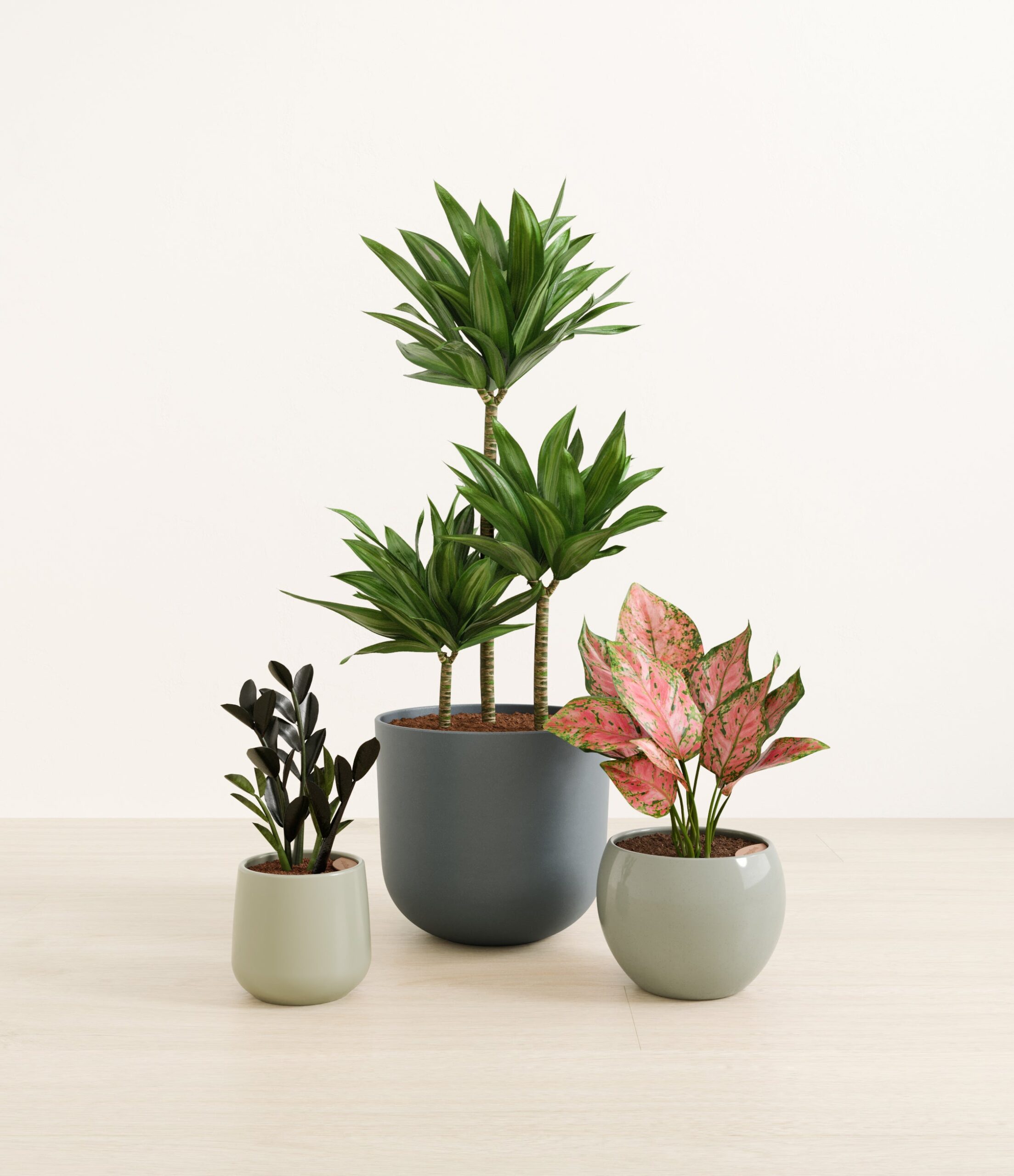 structured_beauties_studio_earthy.jpg