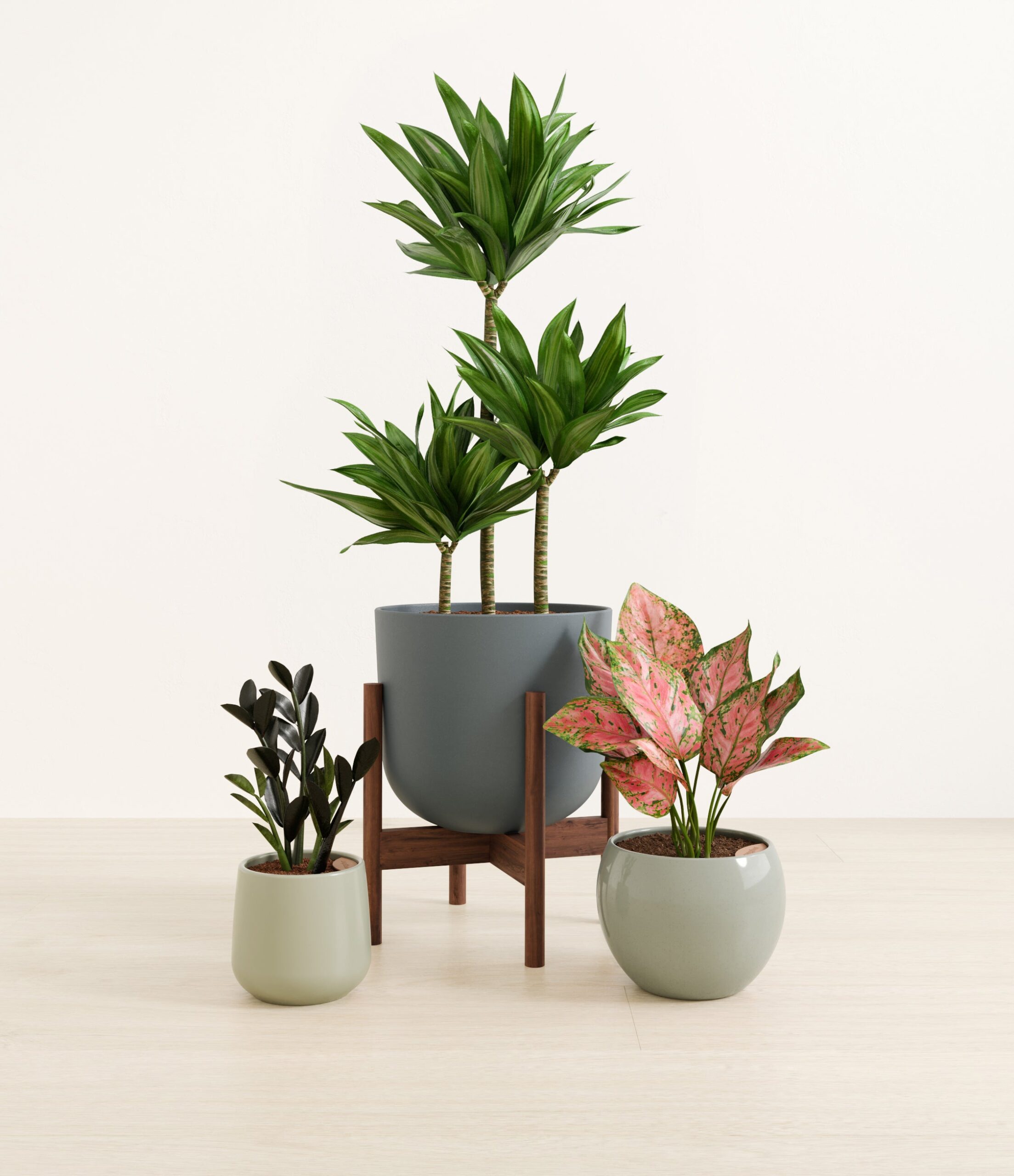 structured_beauties_studio_earthy_stand.jpg