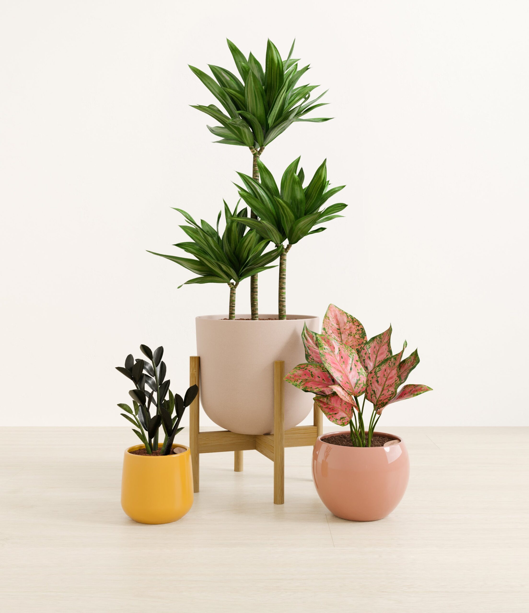 structured_beauties_studio_evening_sky_stand.jpg