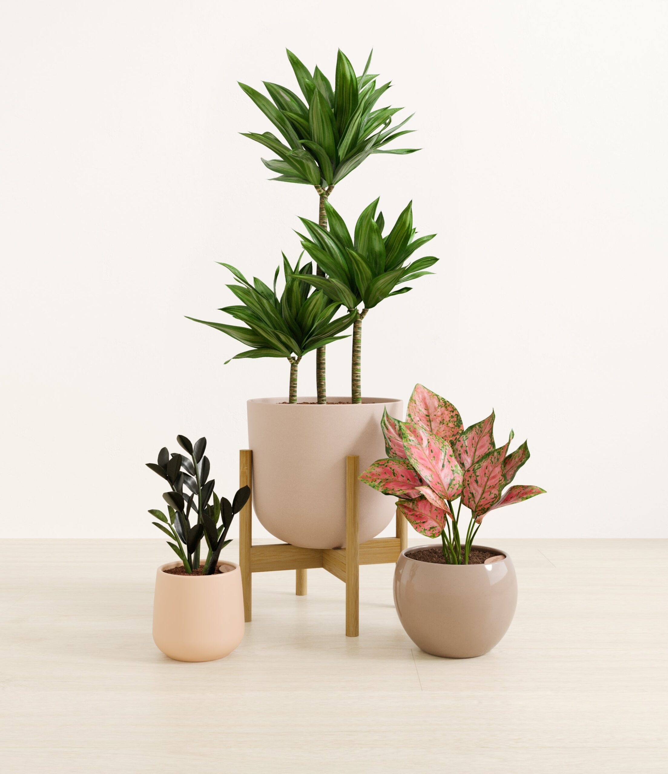 structured_beauties_studio_sandy_stand.jpg