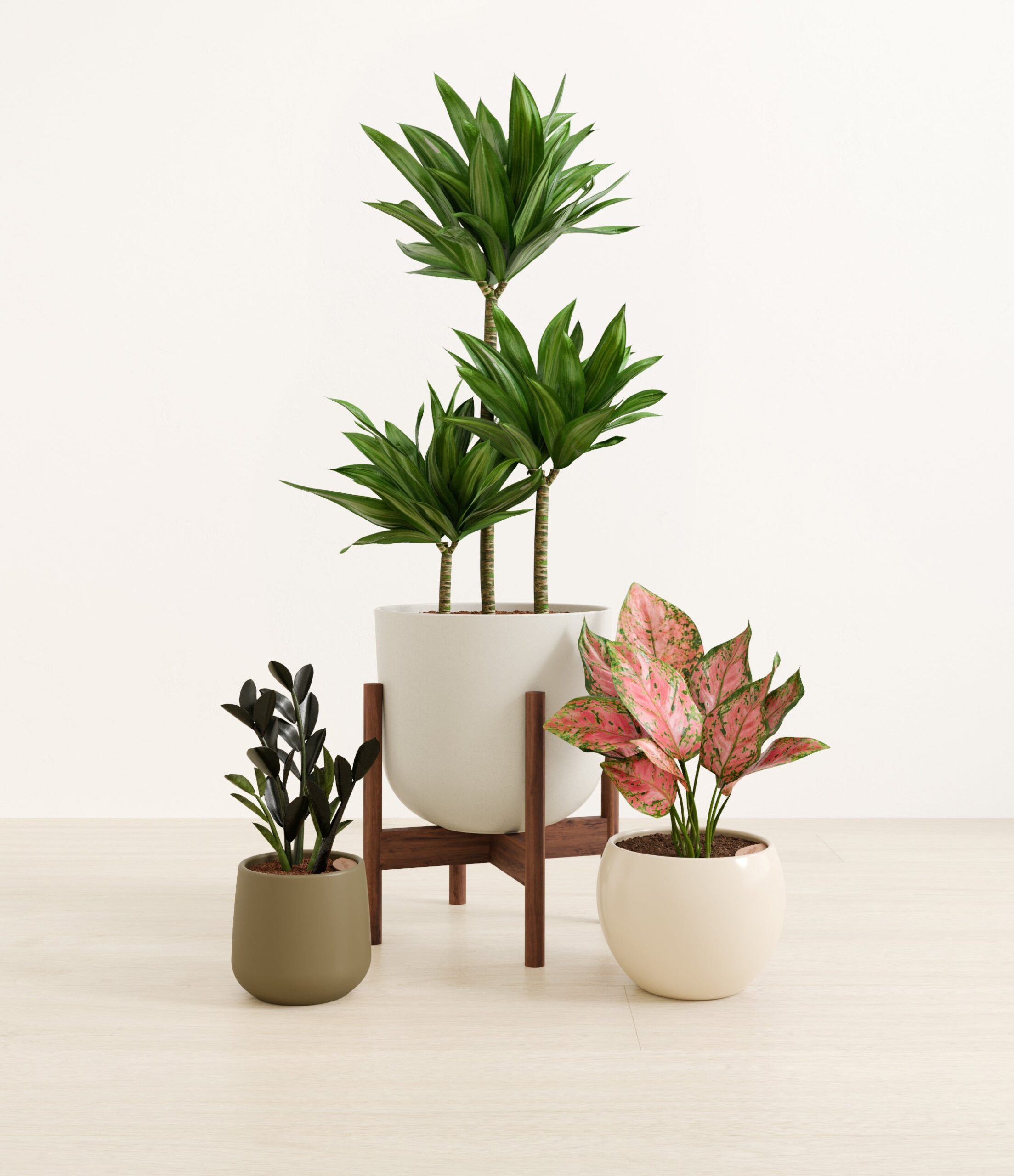 structured_beauties_studio_woodland_stand.jpg