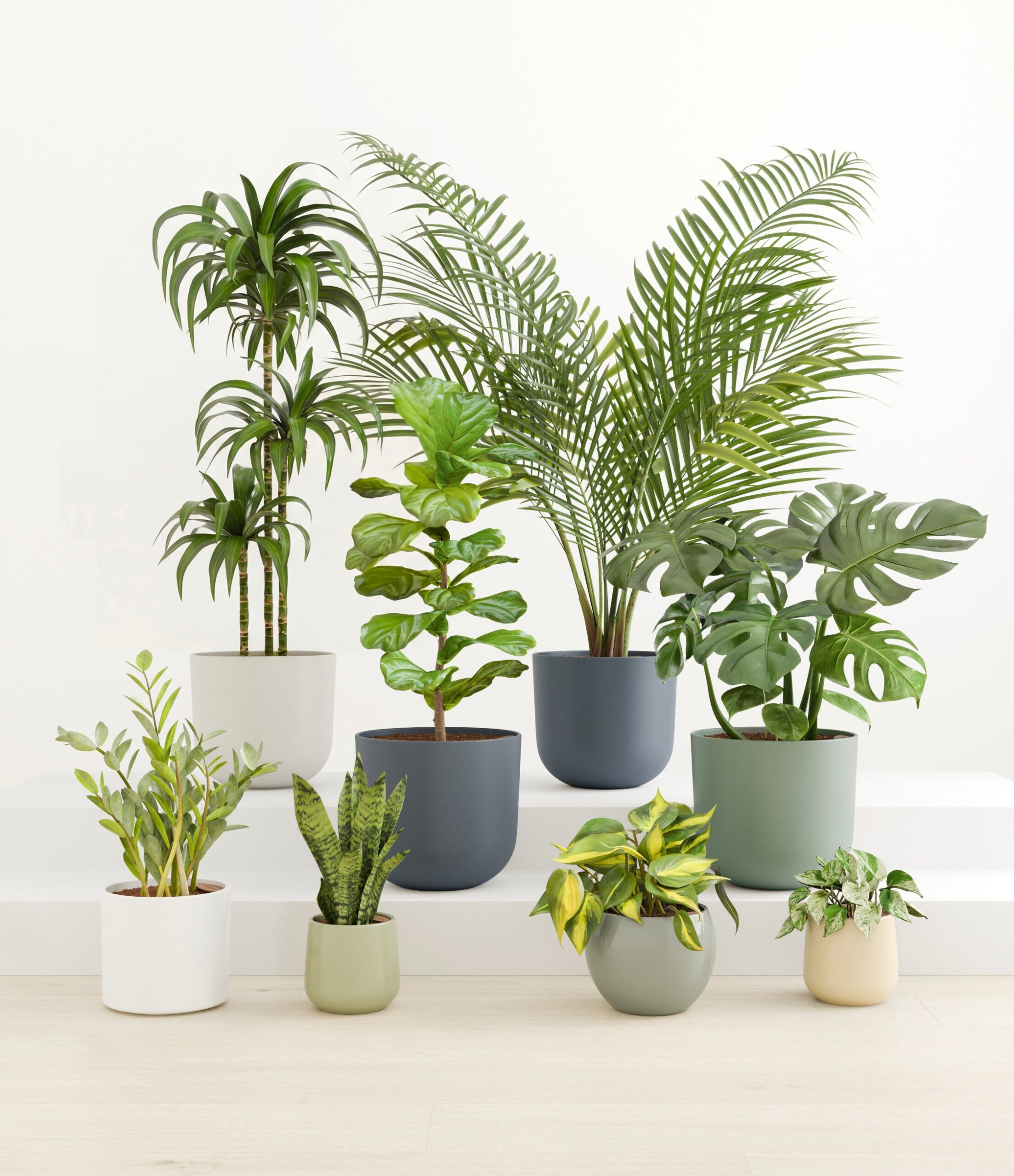 studio_earthy_bc4c9a73-8075-46b8-9ee7-c5a9e25830ac.jpg