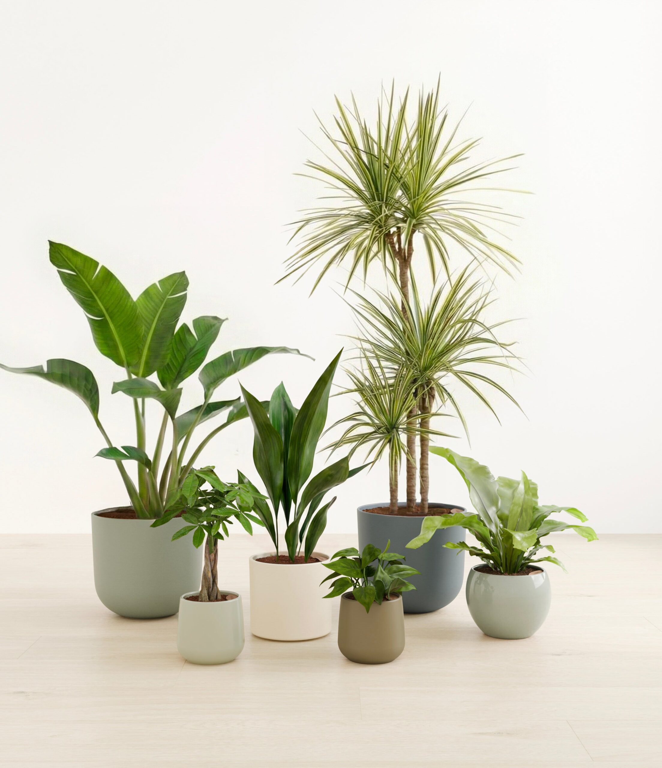 studio_earthy_ddb055c0-85b4-4c62-8192-9a431093bd86.jpg