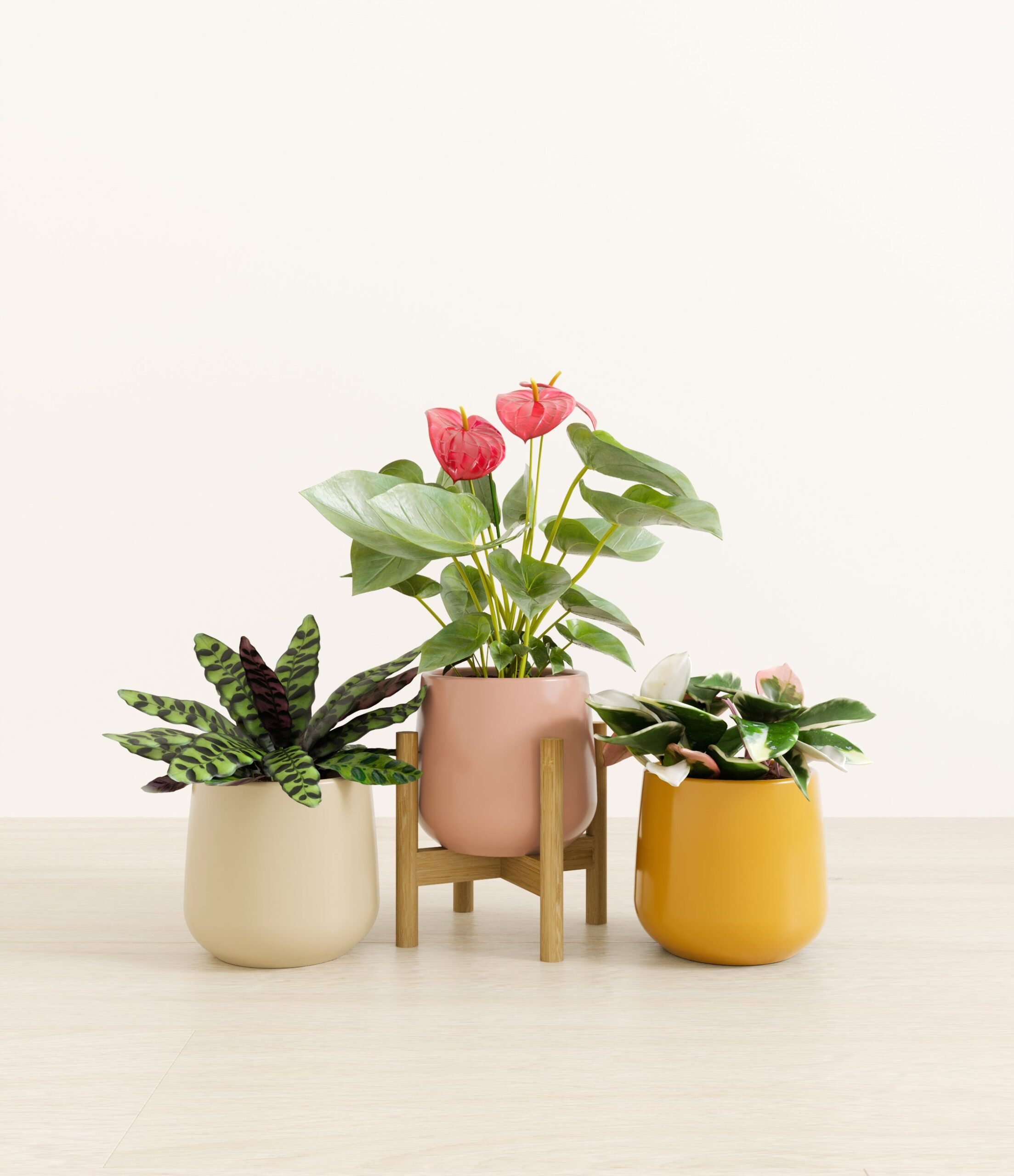 studio_eveningsky_stand-bamboo_15f760b7-ae89-4123-a2c4-950b886dd814.jpg