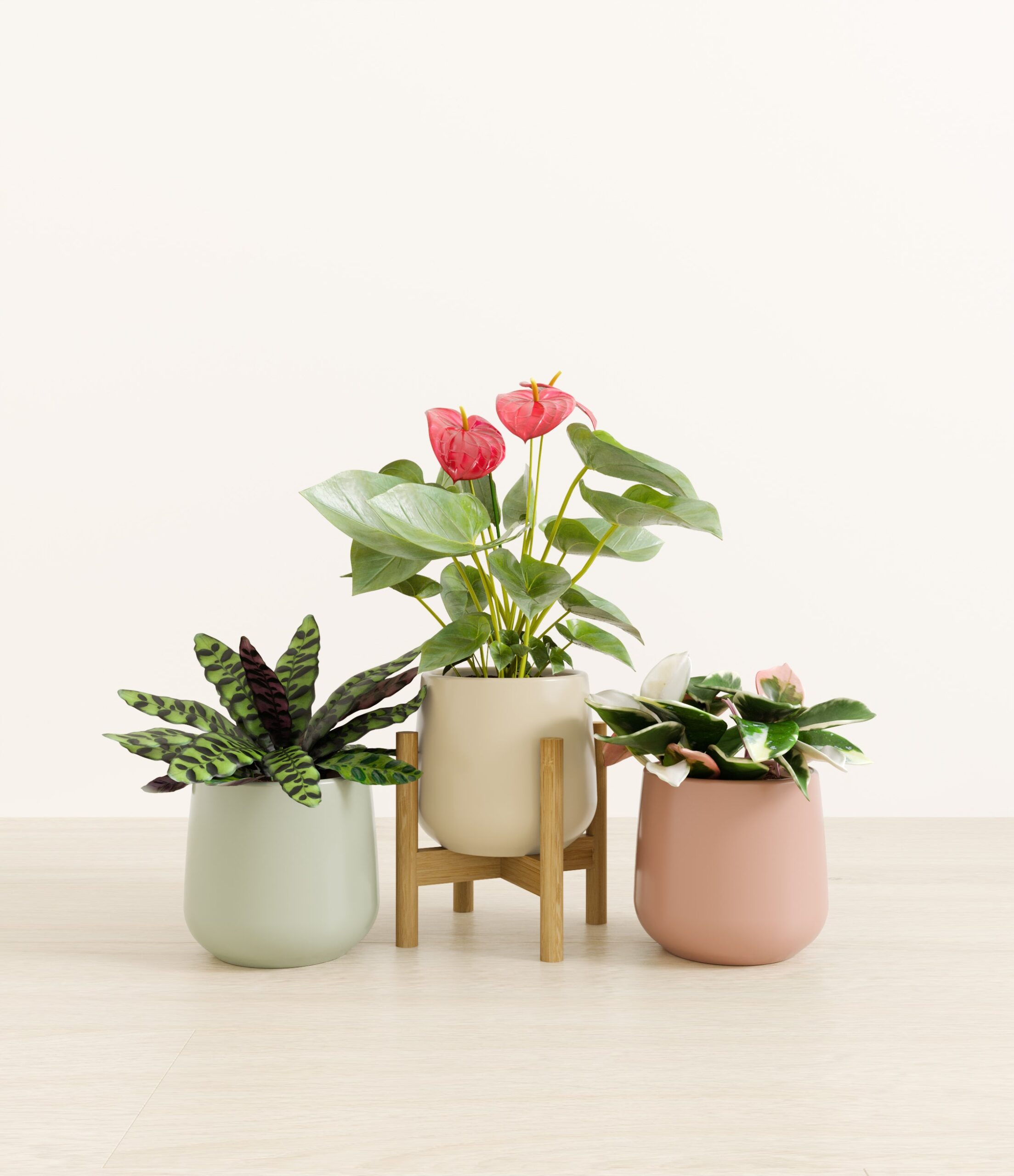 studio_lilypad_stand-bamboo.jpg