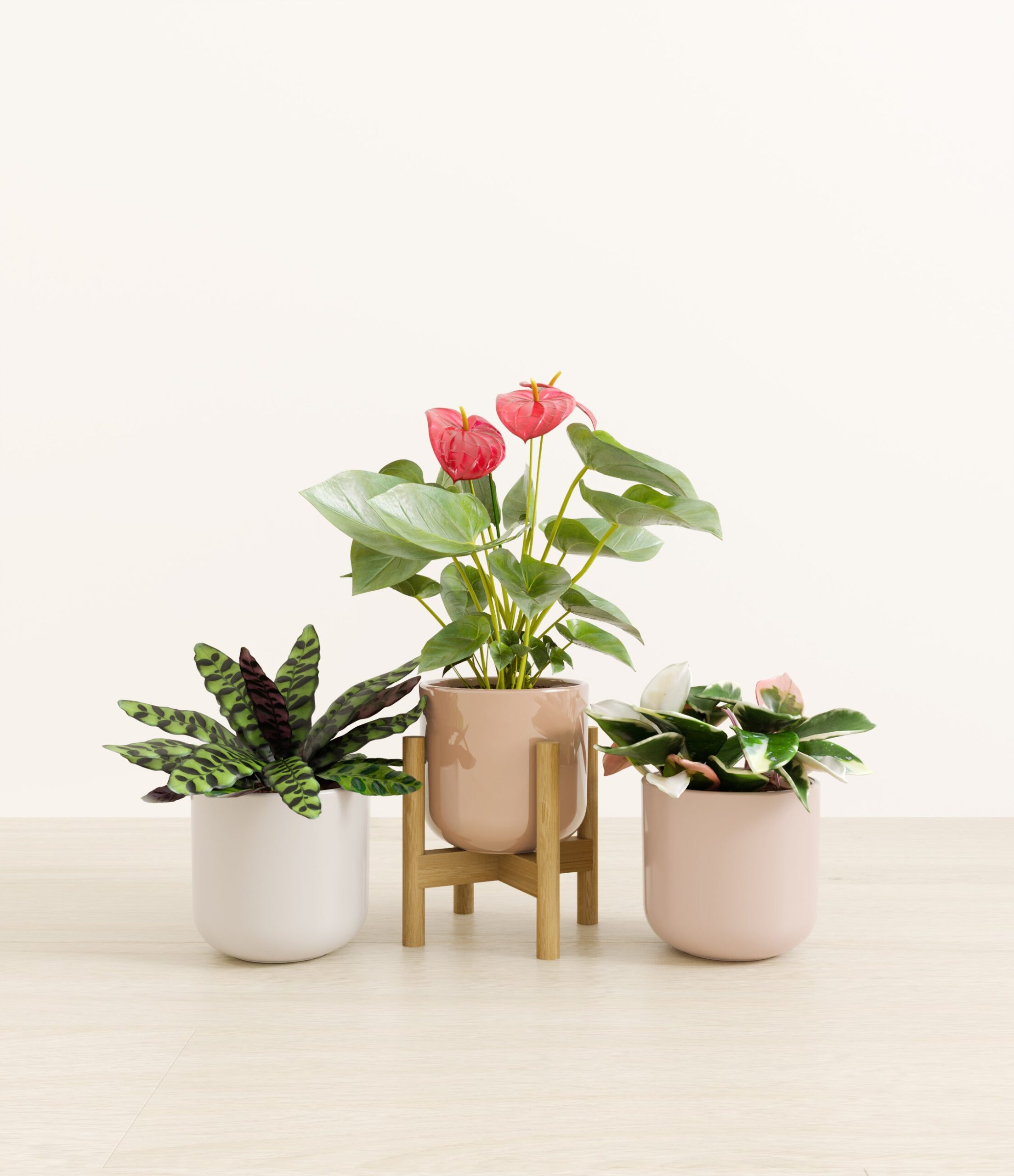 studio_peachblossom_stand-bamboo.jpg