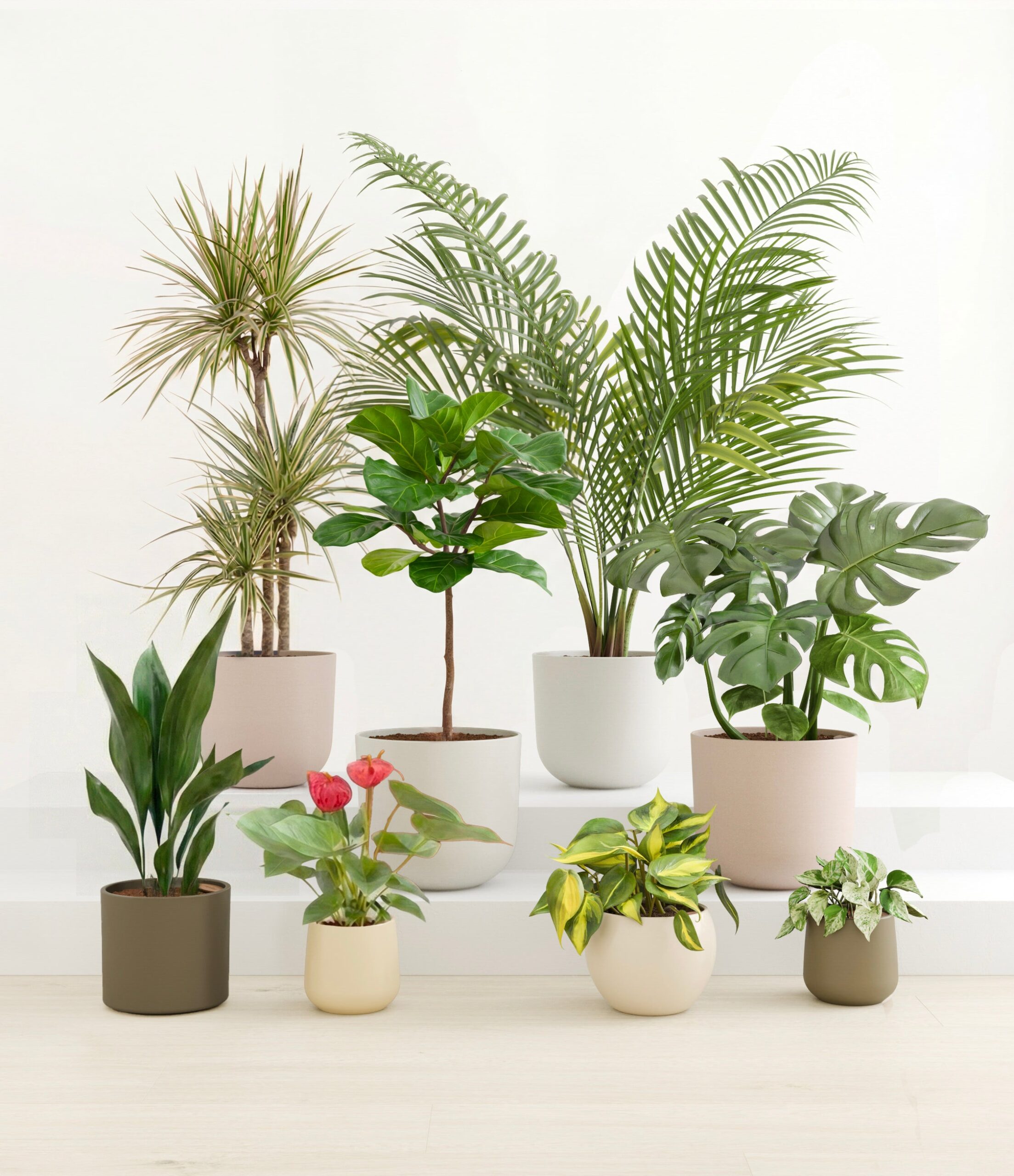 studio_woodland_60fff406-8d69-412d-875f-a8d54bd2dc1e.jpg
