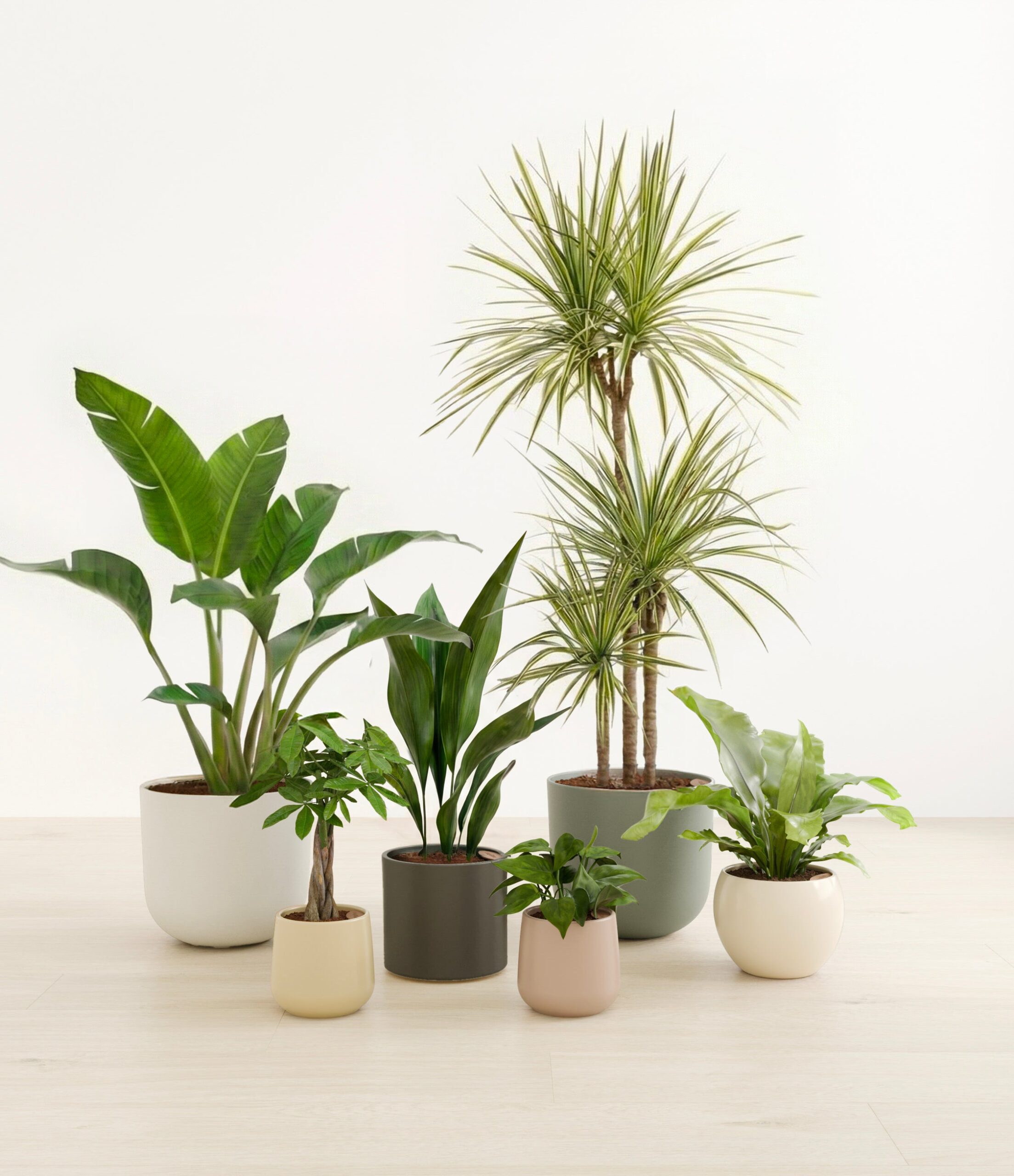 studio_woodland_99b2be27-16e2-4a6c-8308-68a174ec675e.jpg