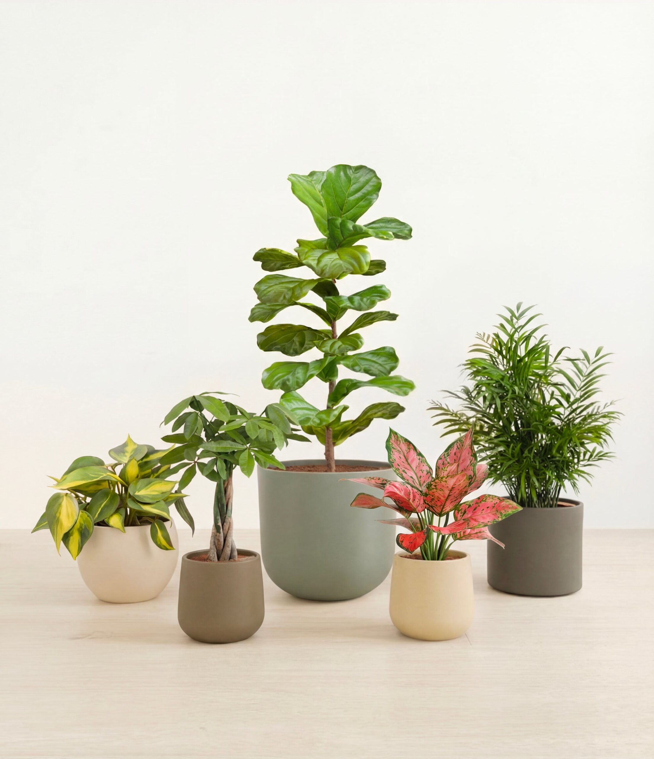 studio_woodland_cf2f25d7-7280-4713-8cbd-e7081c5f82b1.jpg