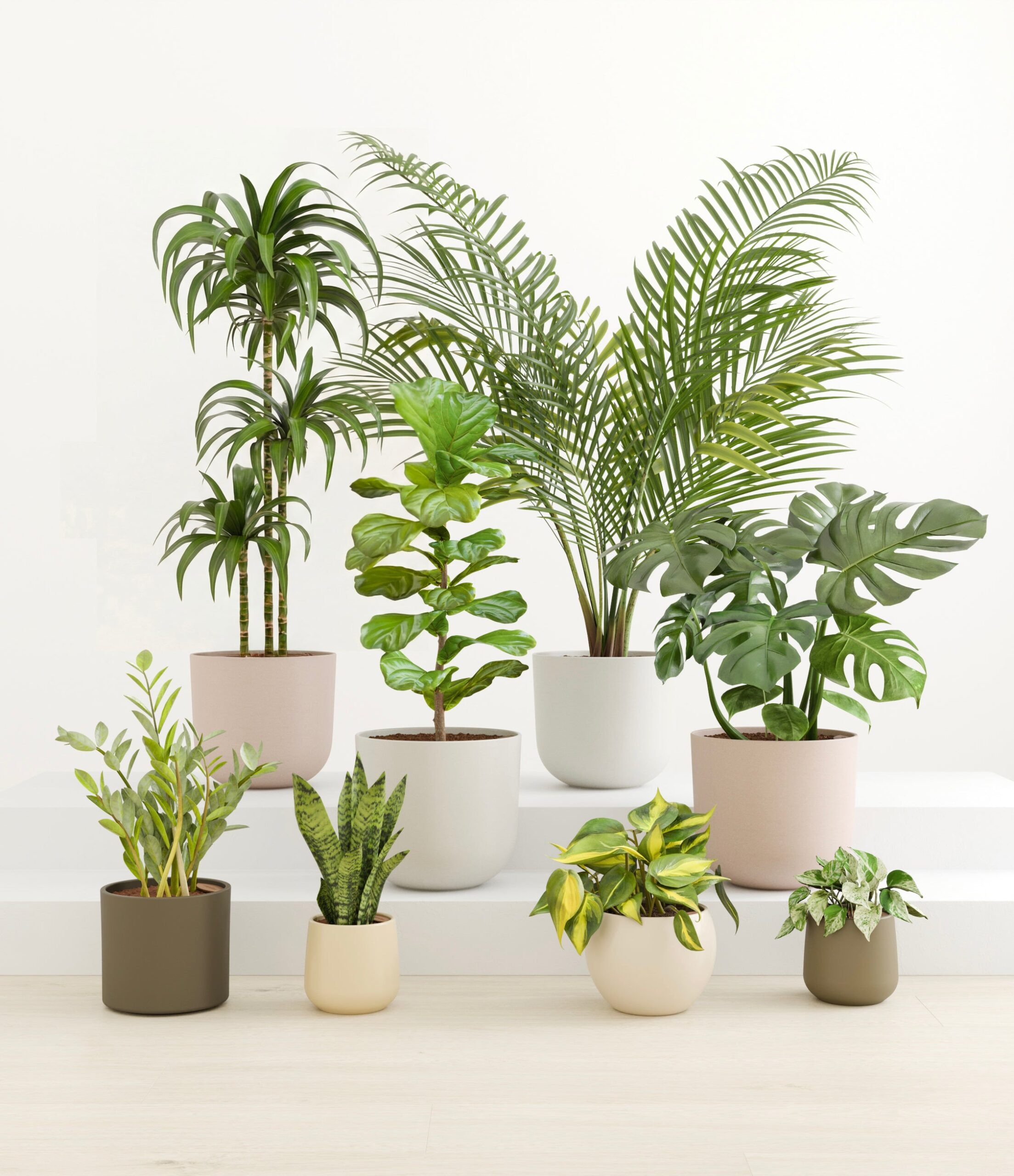 studio_woodland_e0477e52-4489-44c1-aaa9-566abad88ff4.jpg