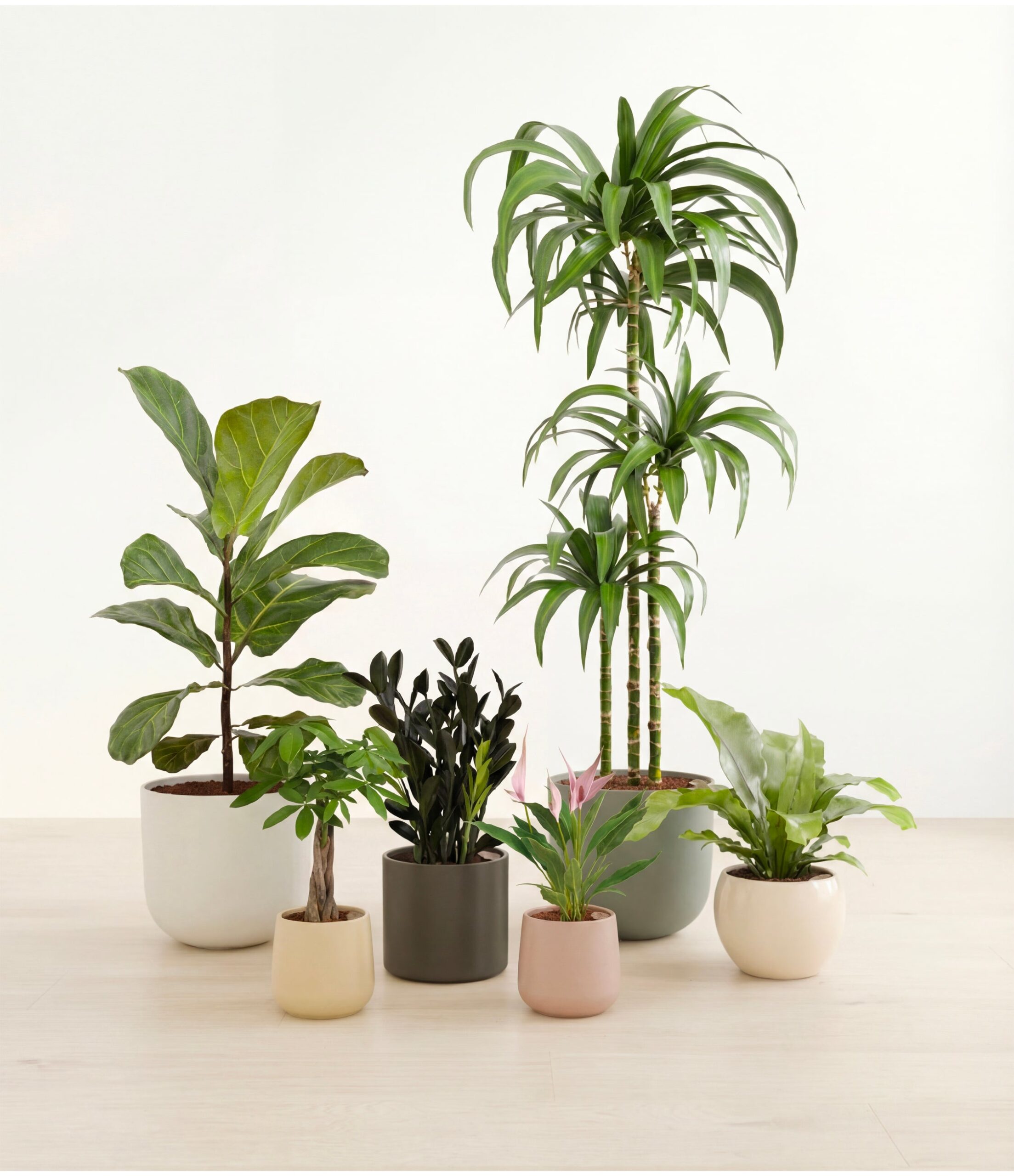 studio_woodland_ee75d100-f85a-4b2a-a34b-9c5cee77354f.jpg