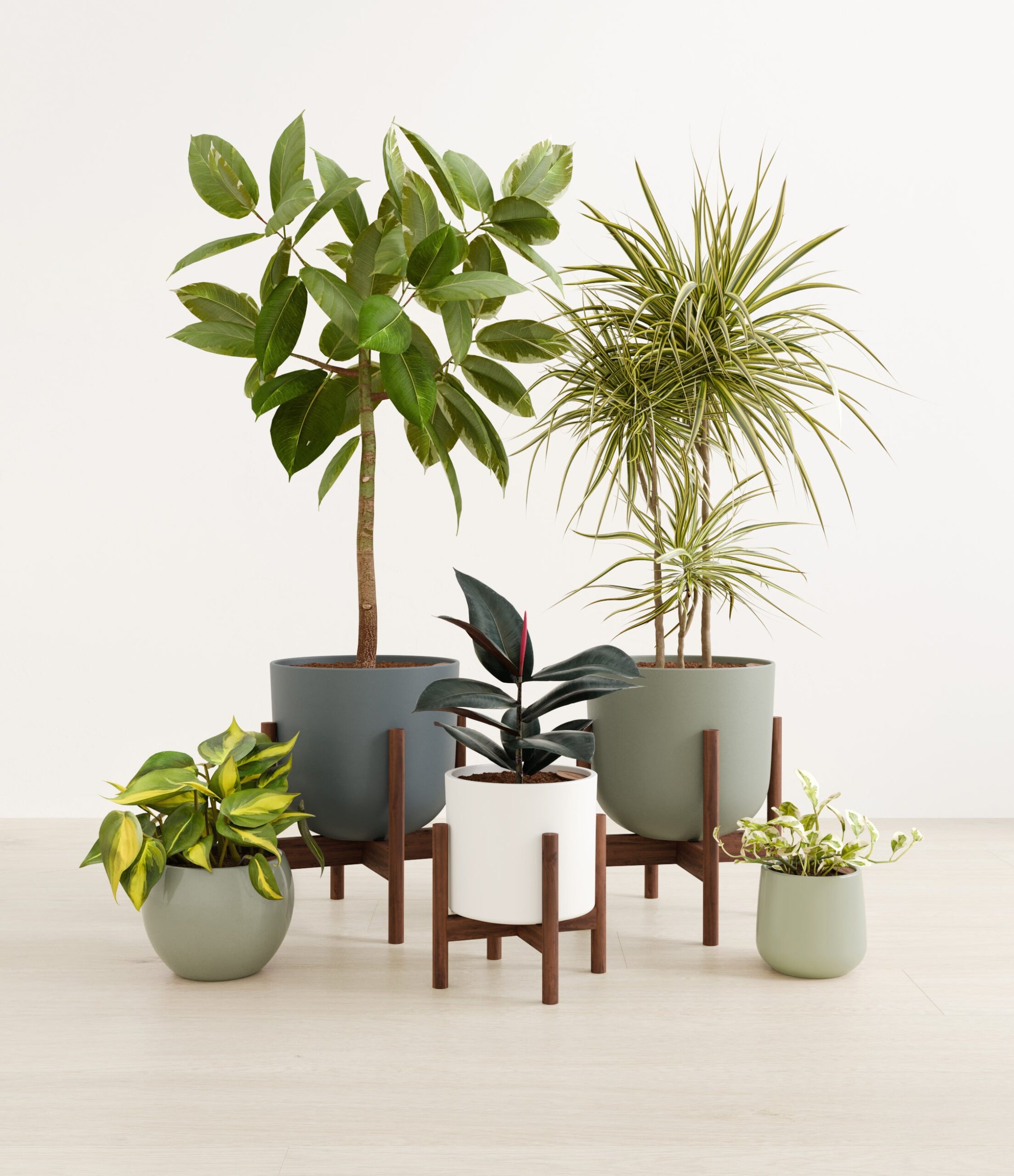 textured_harmony_studio_earthy_stands.jpg