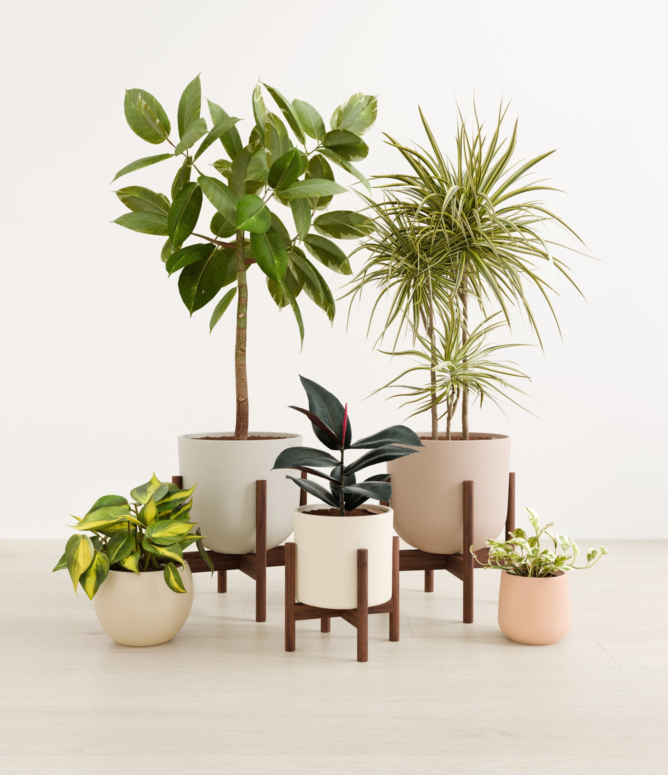 textured_harmony_studio_sandy_stands.jpg