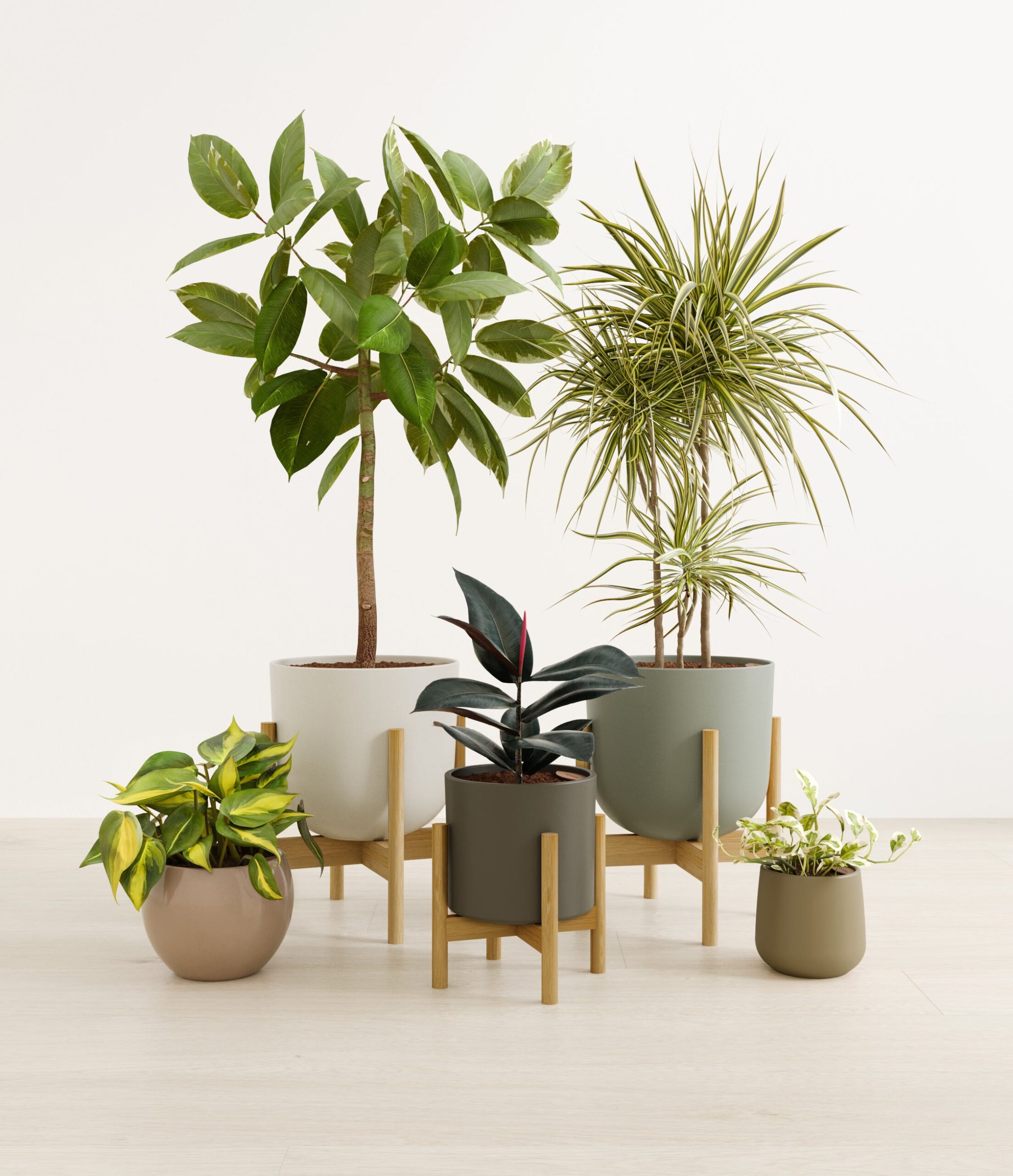 textured_harmony_studio_woodland_stands.jpg