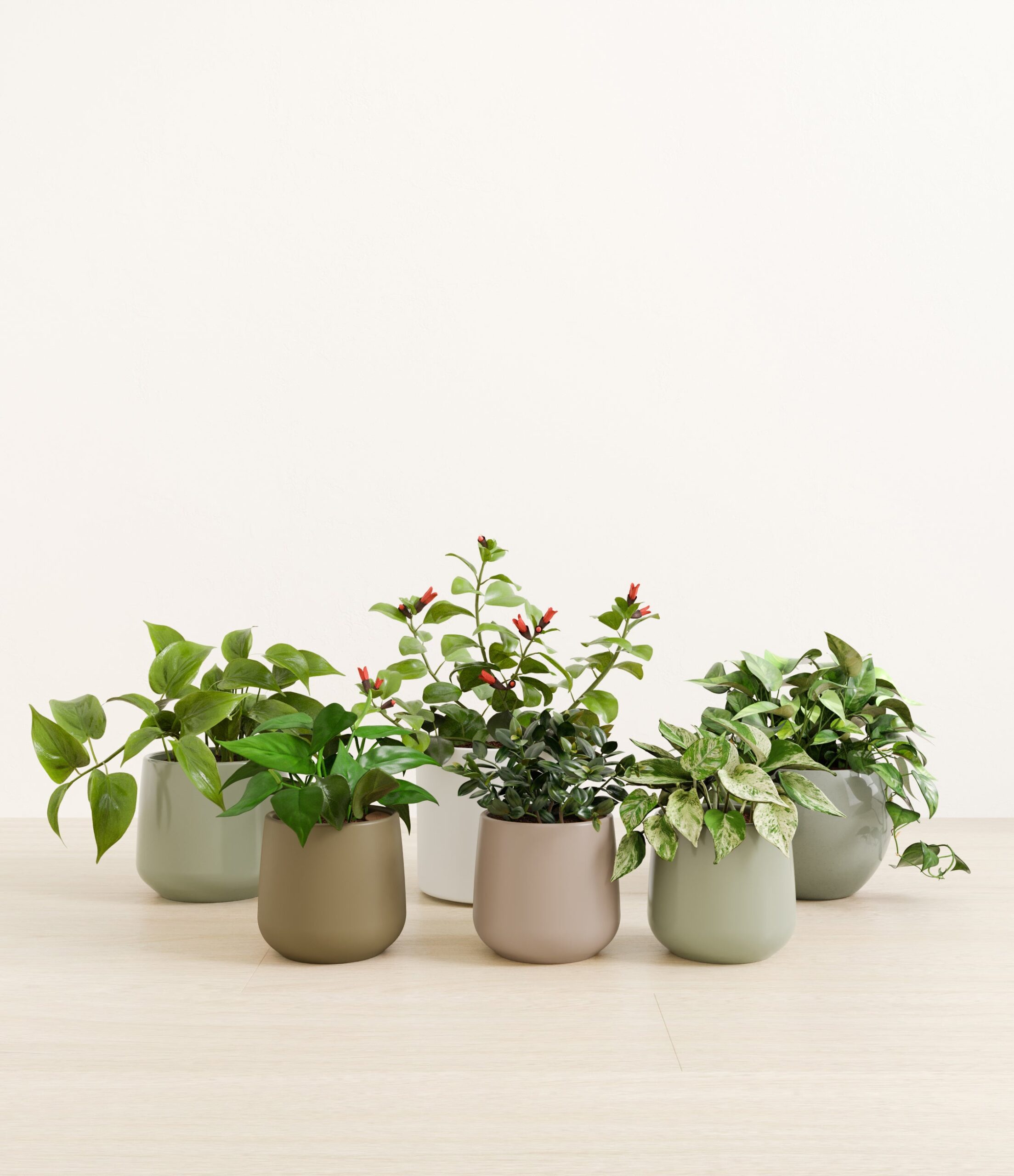 trailing_charm_studio_earthy.jpg