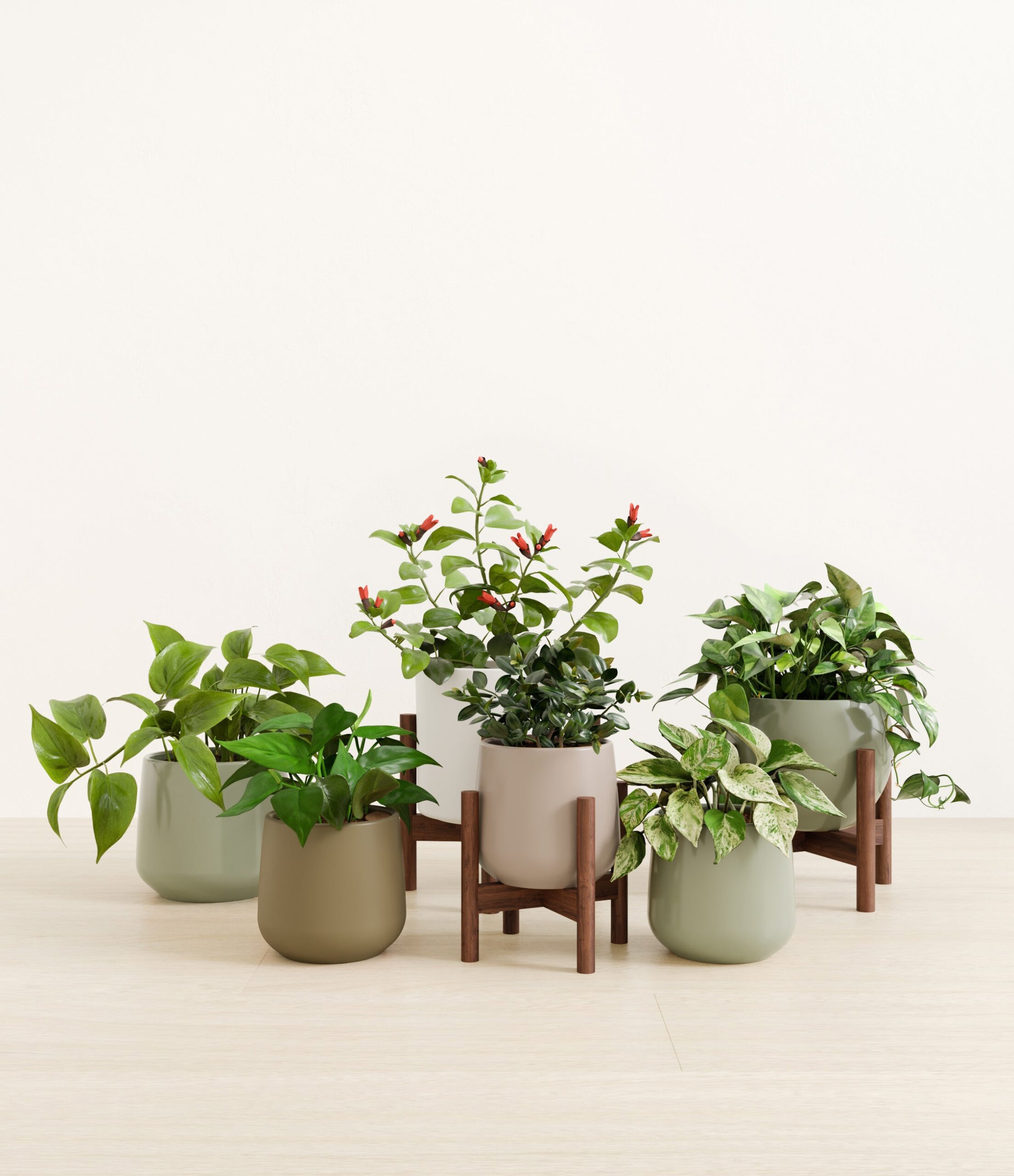 trailing_charm_studio_earthy_stands.jpg