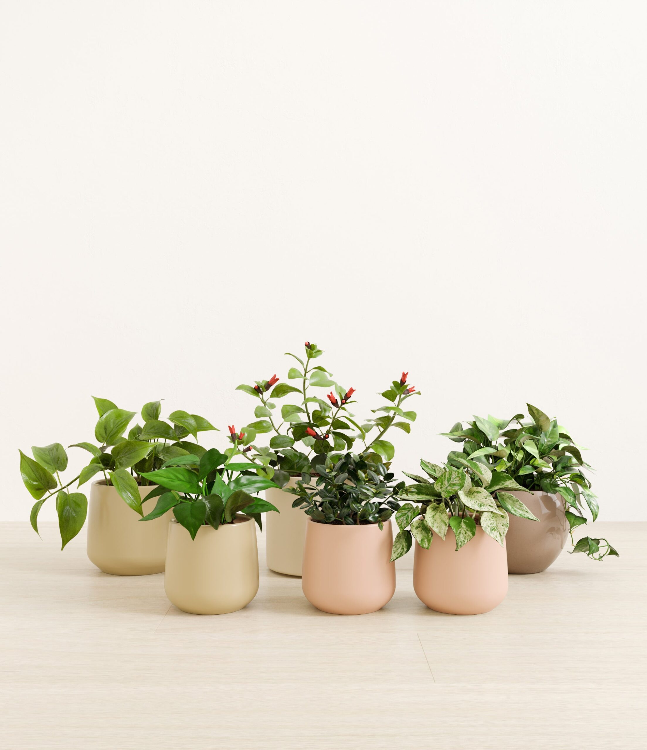 trailing_charm_studio_sandy.jpg