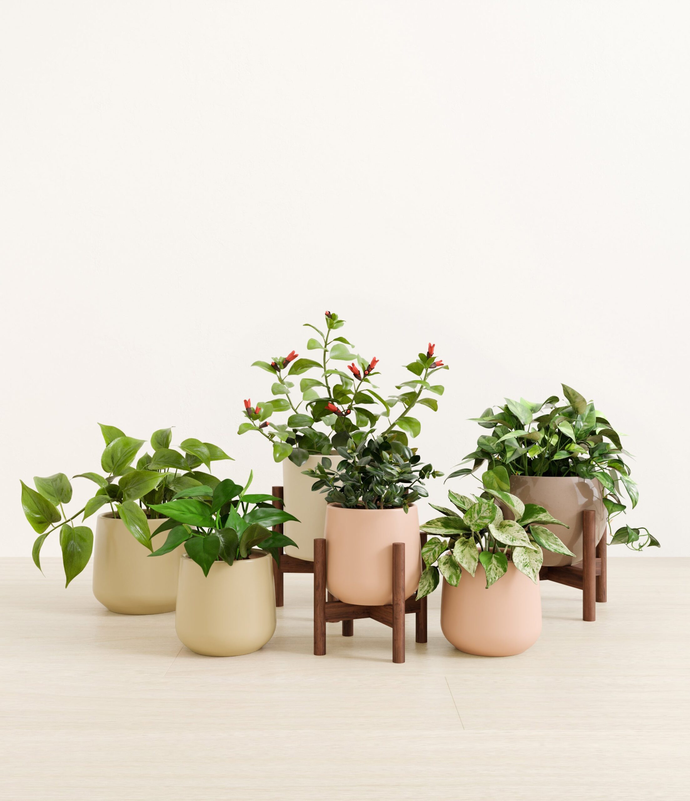 trailing_charm_studio_sandy_stands.jpg