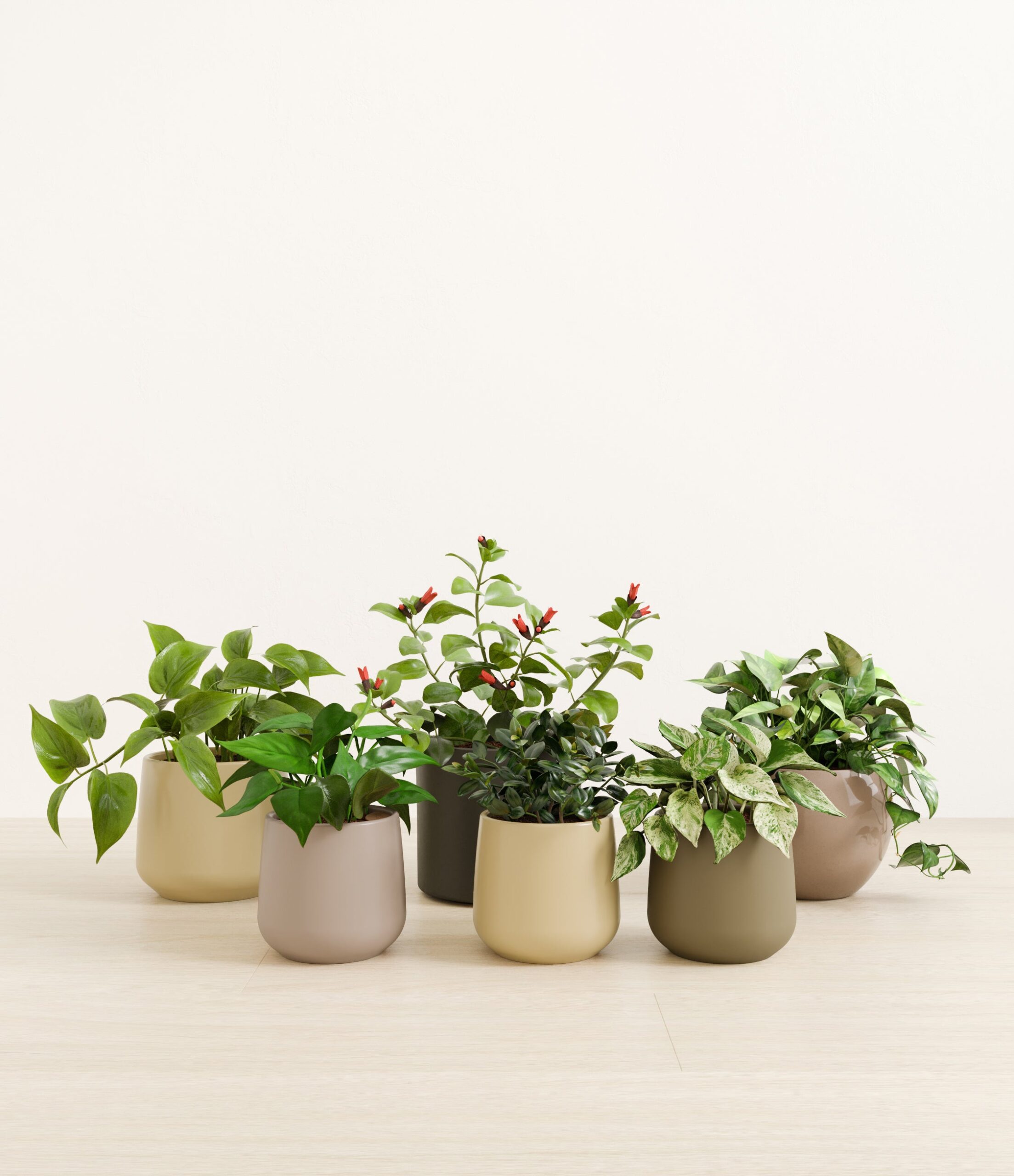 trailing_charm_studio_woodland.jpg