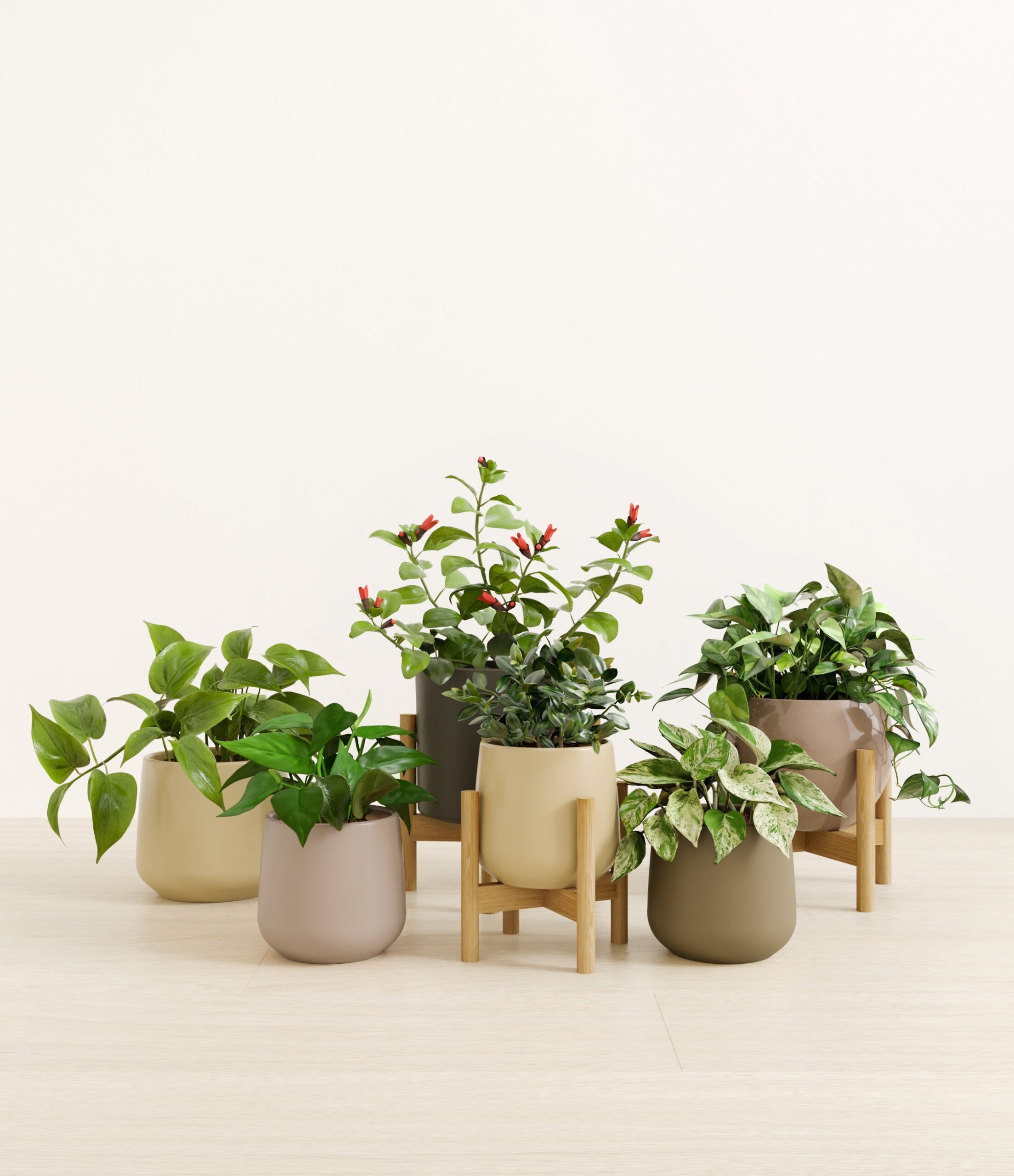 trailing_charm_studio_woodland_stands.jpg