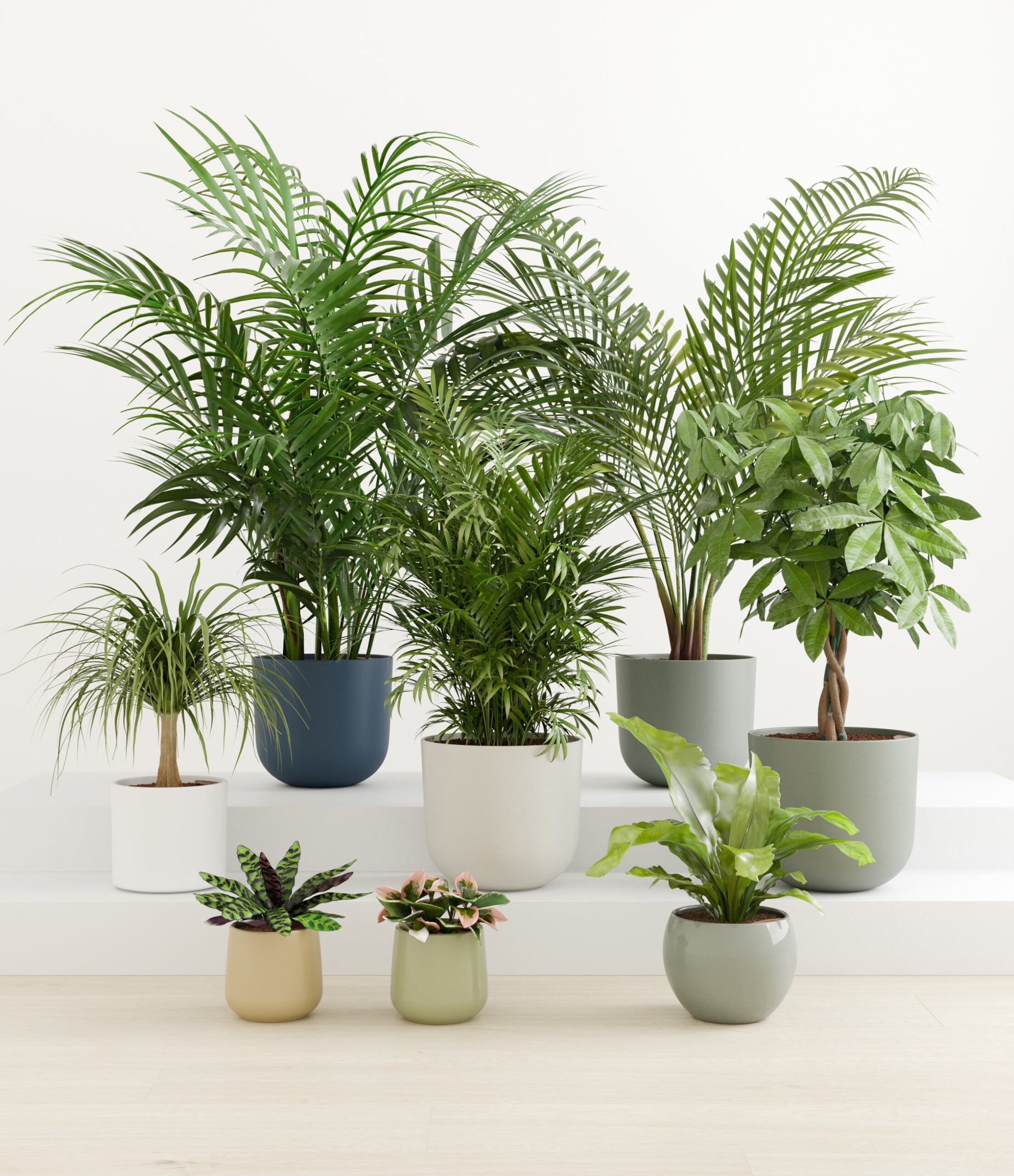 tropical_haven_studio_earthy_palette.jpg