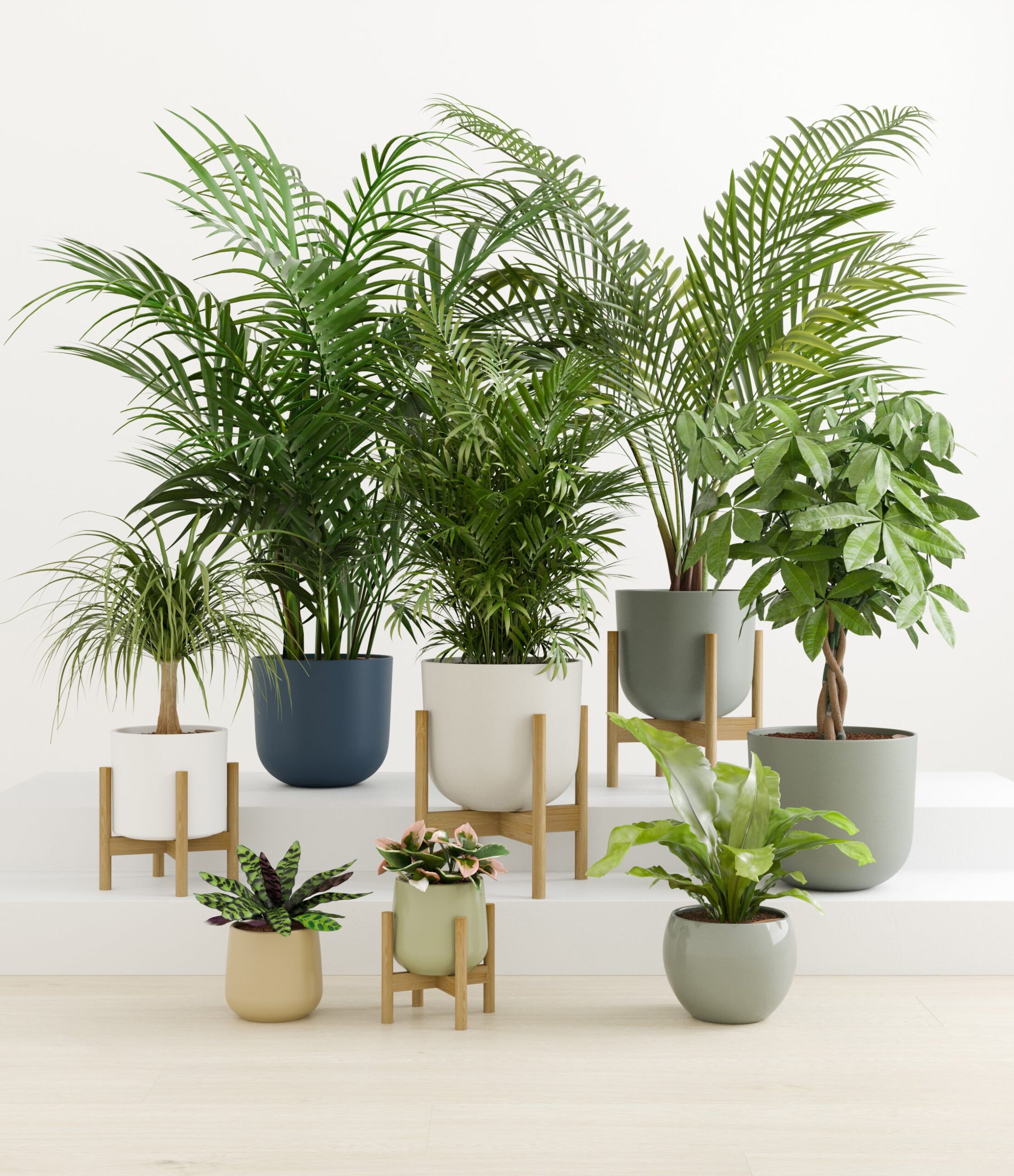 tropical_haven_studio_earthy_palette_4_stands.jpg
