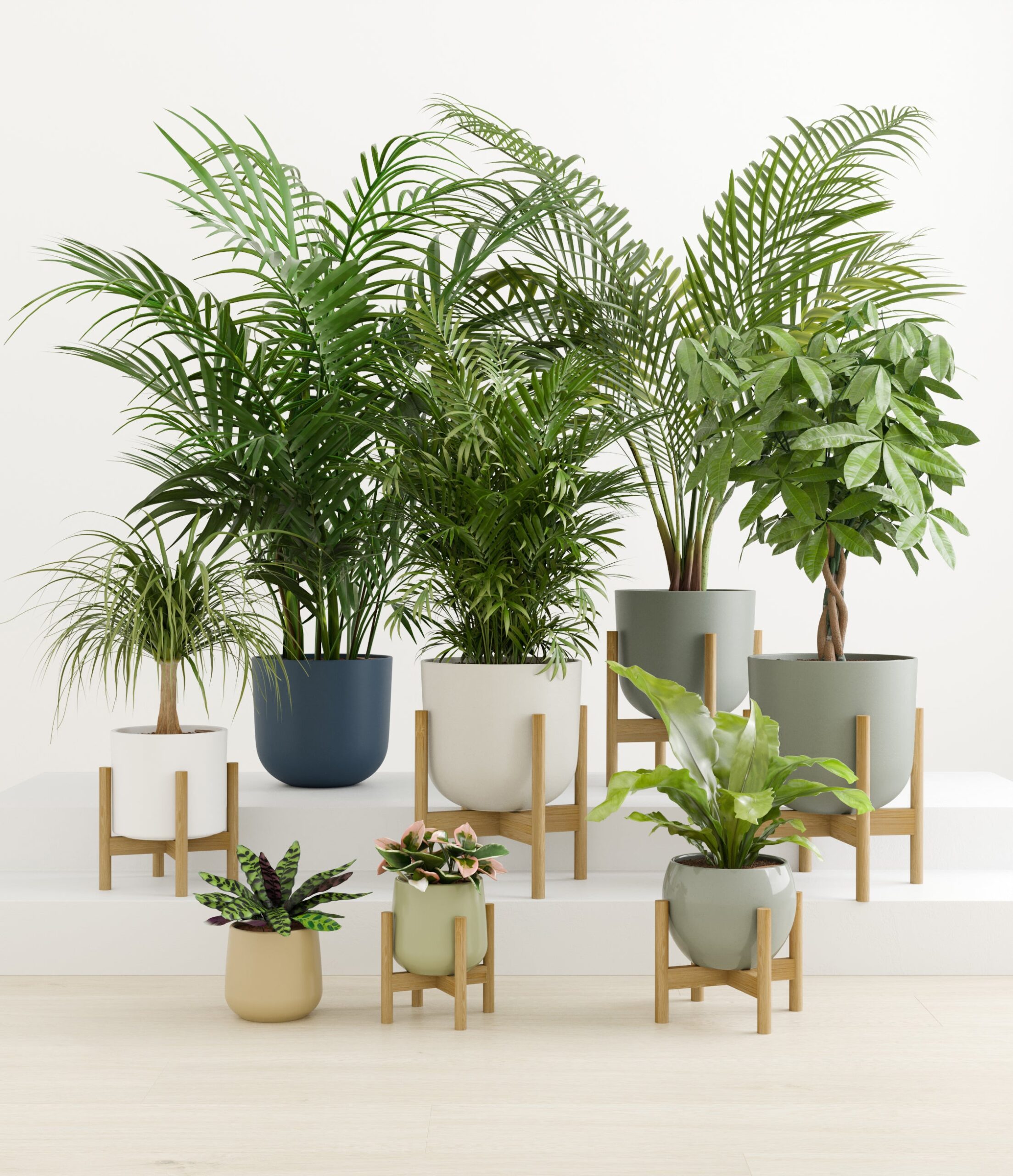 tropical_haven_studio_earthy_palette_6_stands.jpg
