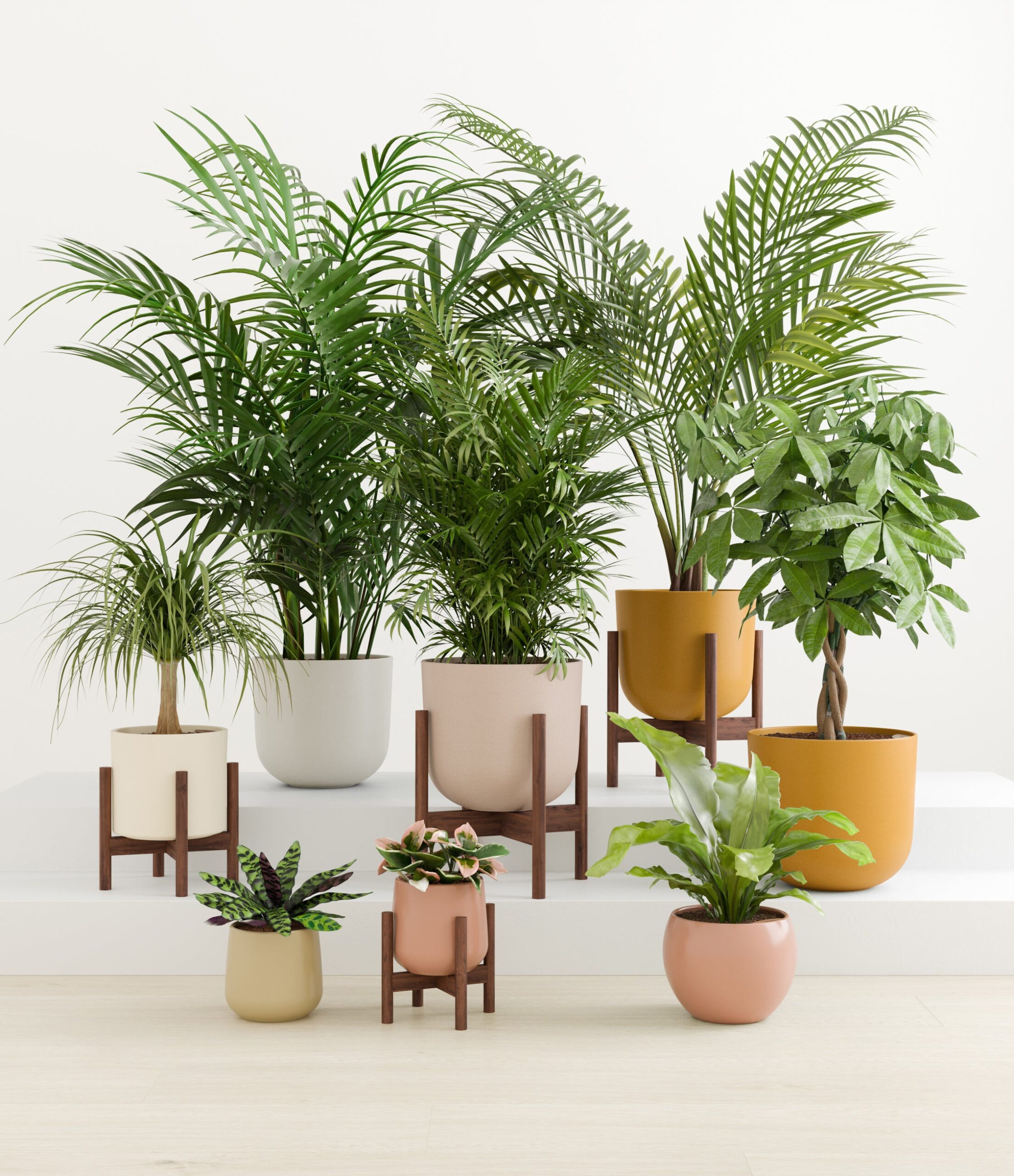 tropical_haven_studio_evening_sky_palette_4_stands.jpg