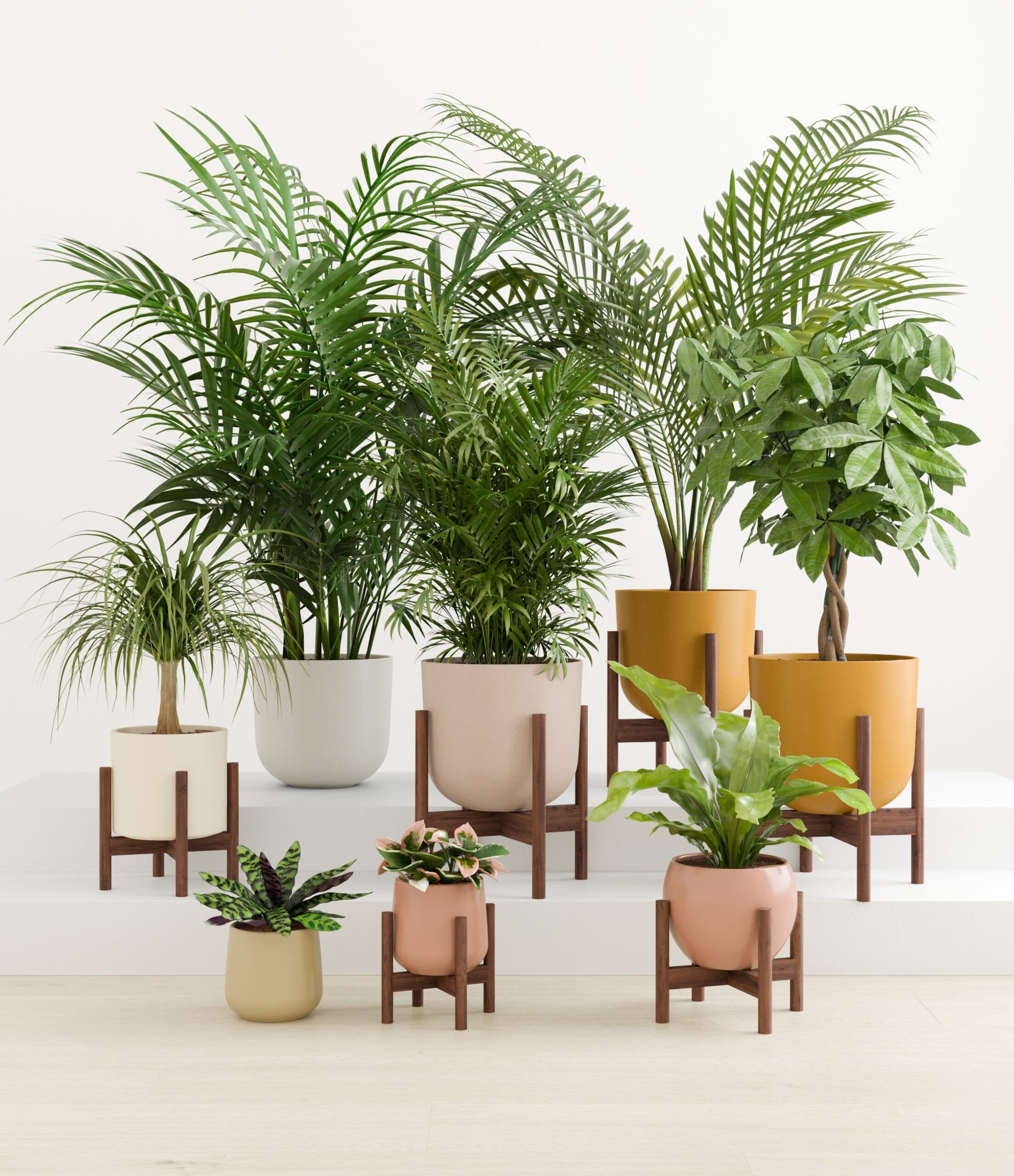 tropical_haven_studio_evening_sky_palette_6_stands.jpg