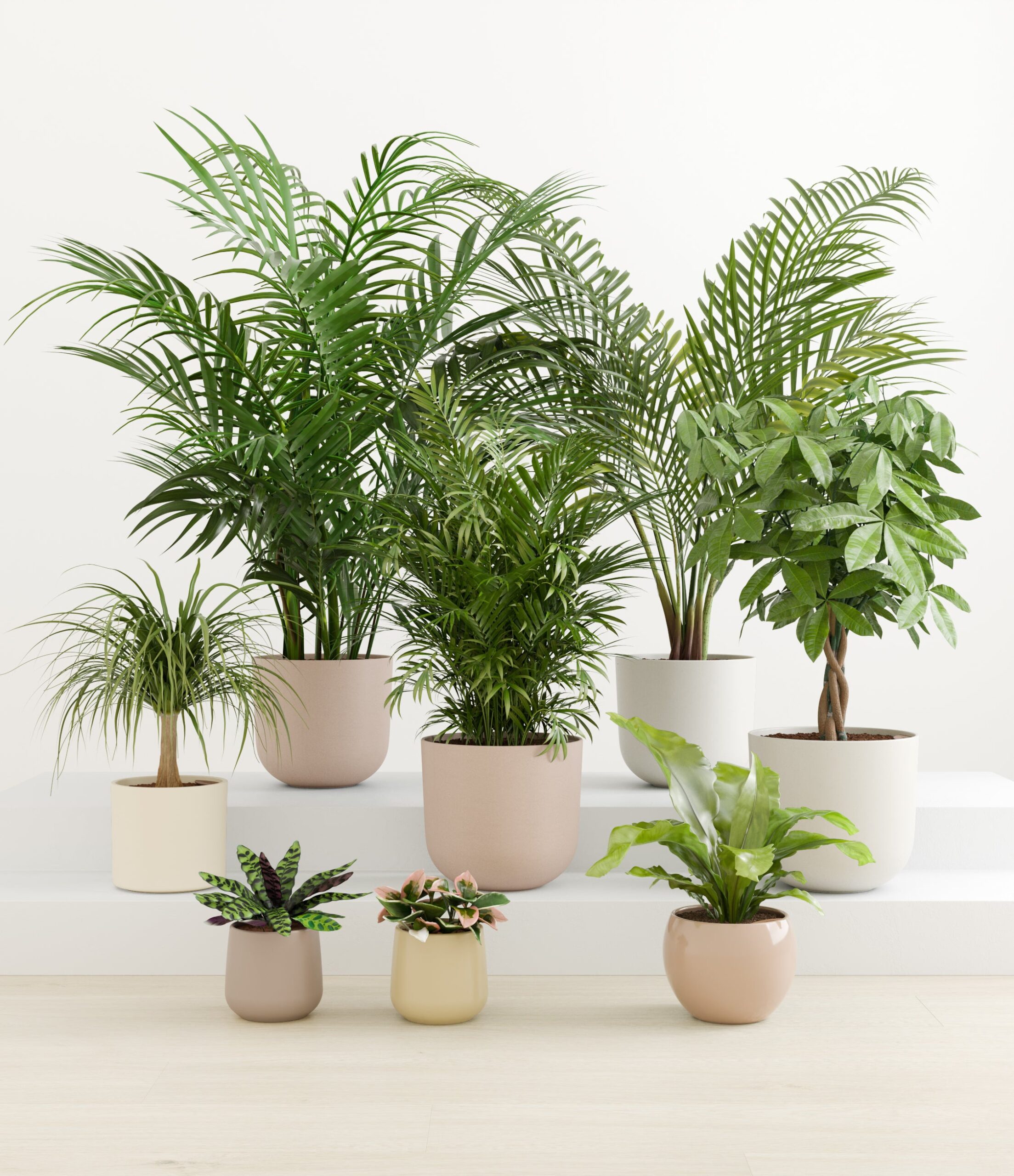 tropical_haven_studio_sandy_palette.jpg