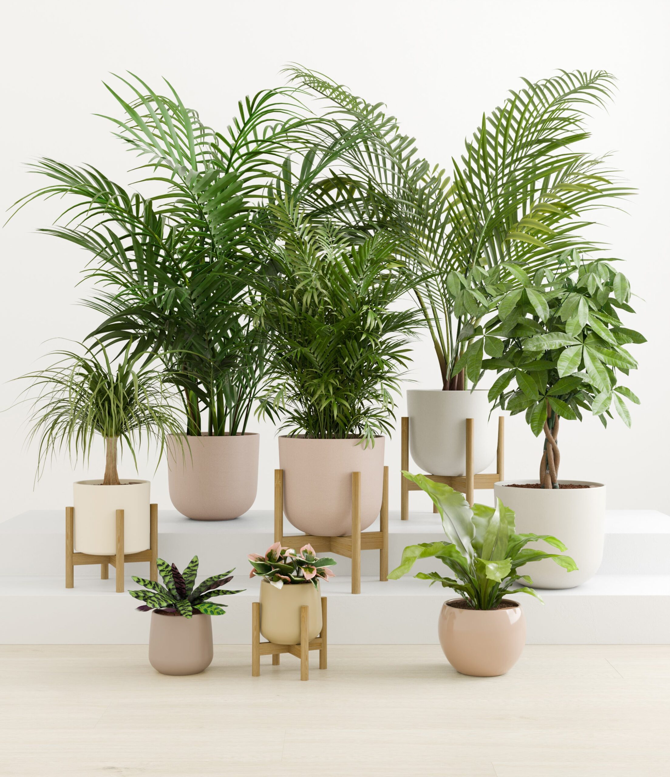 tropical_haven_studio_sandy_palette_4_stands.jpg