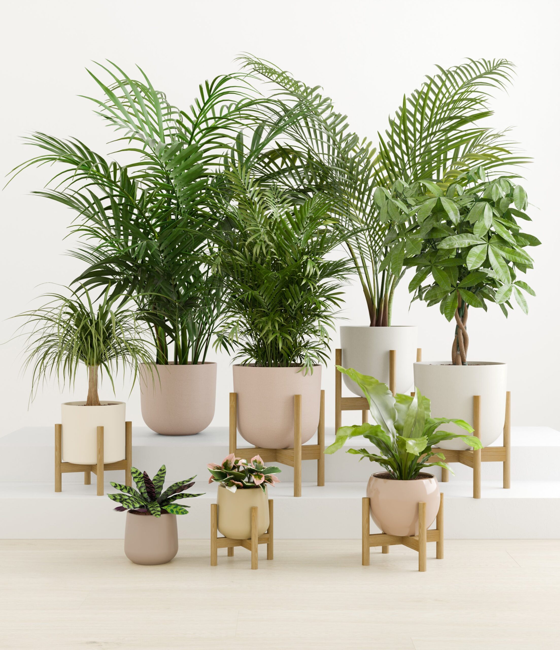 tropical_haven_studio_sandy_palette_6_stands.jpg